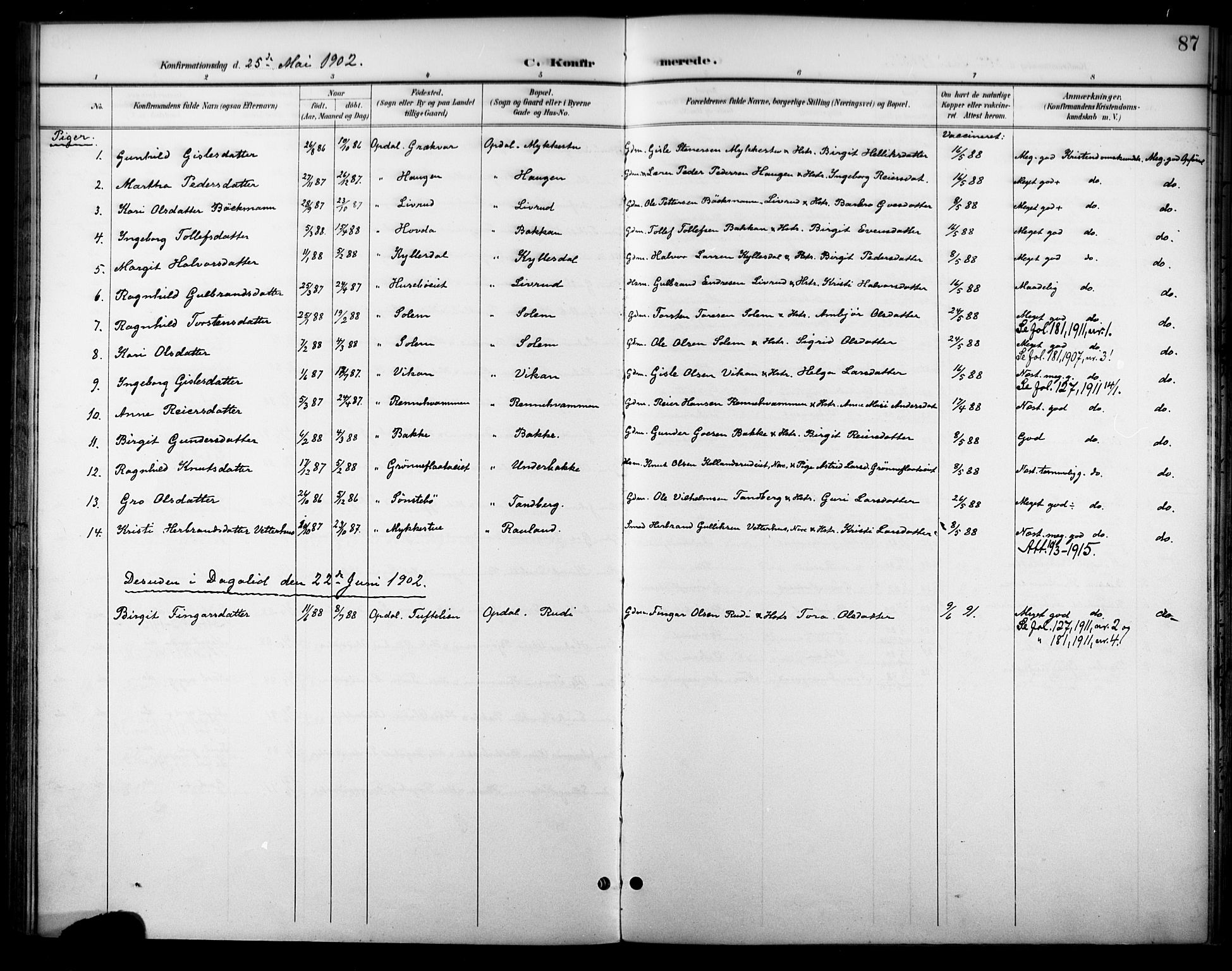 Nore kirkebøker, AV/SAKO-A-238/F/Fc/L0005: Parish register (official) no. III 5, 1898-1922, p. 87