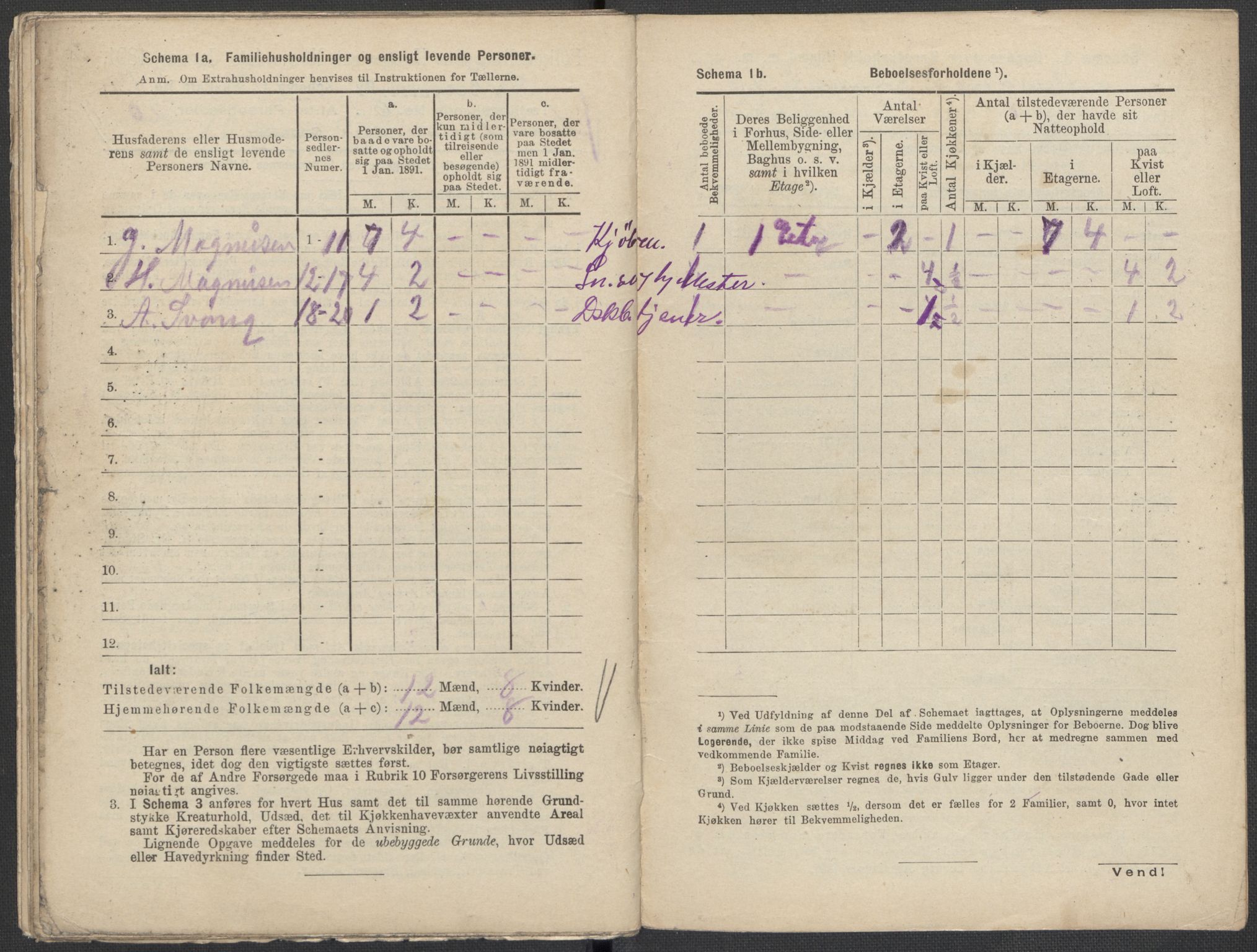 RA, 1891 Census for 1301 Bergen, 1891, p. 2493