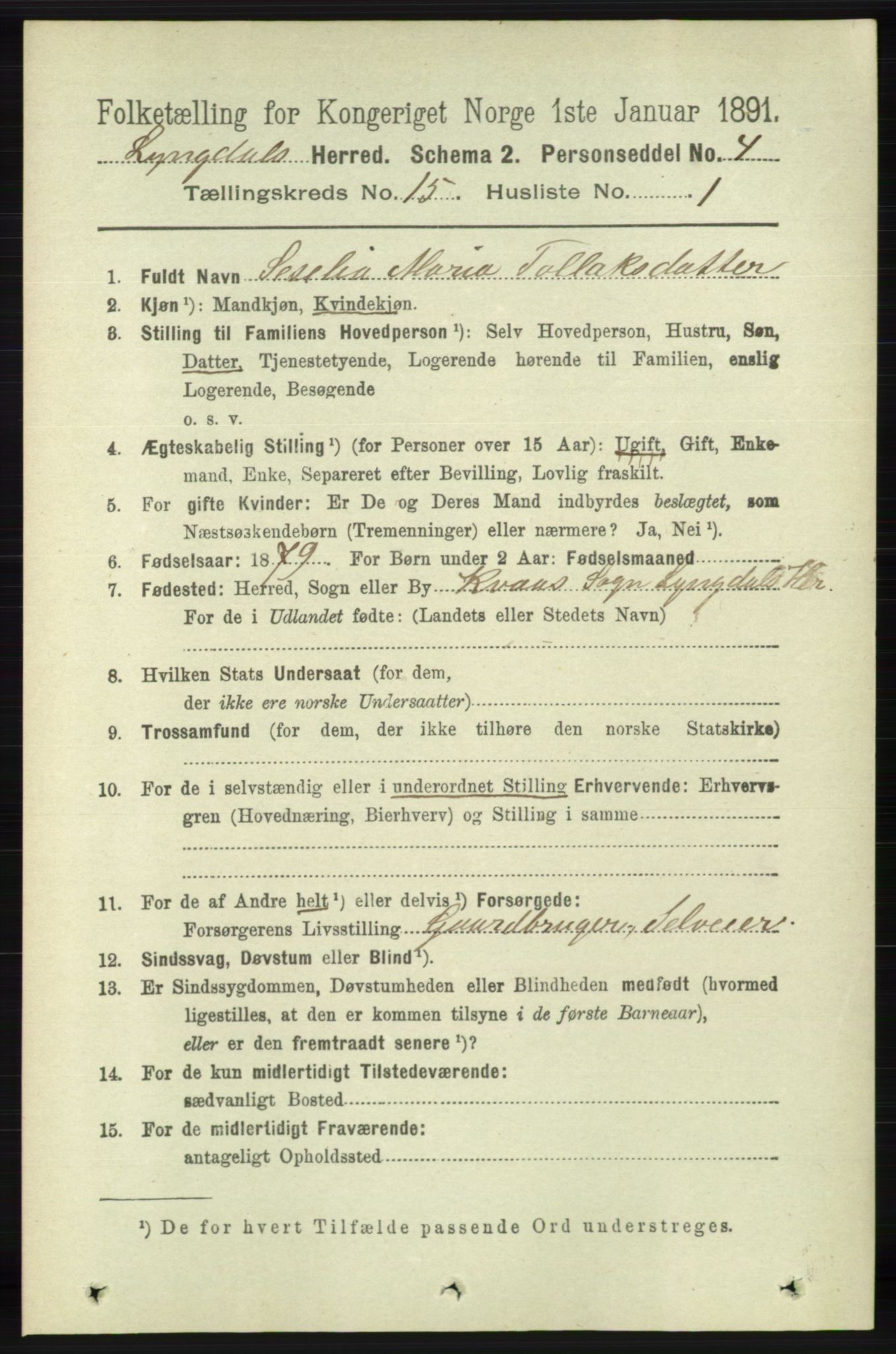 RA, 1891 census for 1032 Lyngdal, 1891, p. 6063