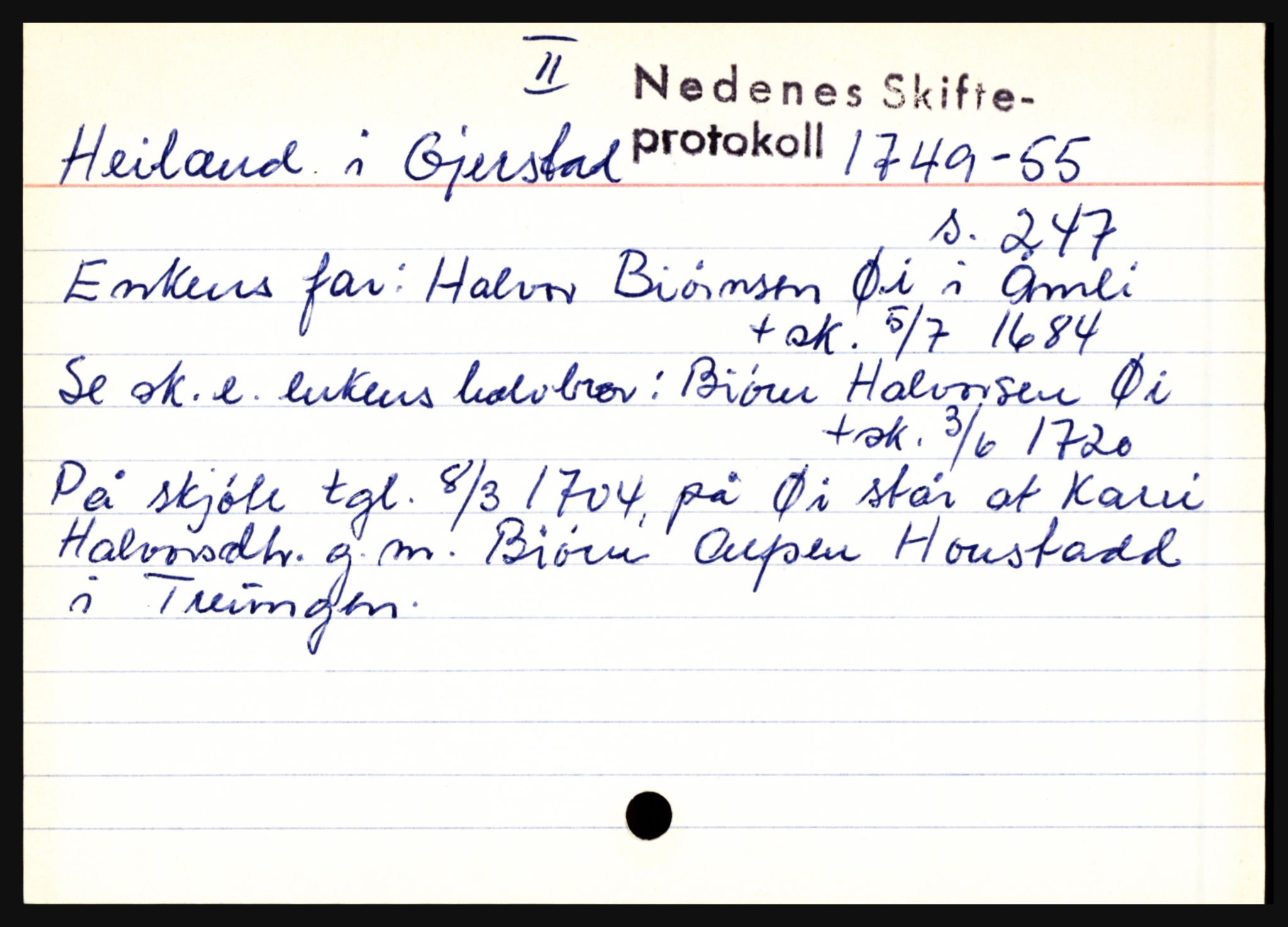 Nedenes sorenskriveri før 1824, AV/SAK-1221-0007/H, p. 11529