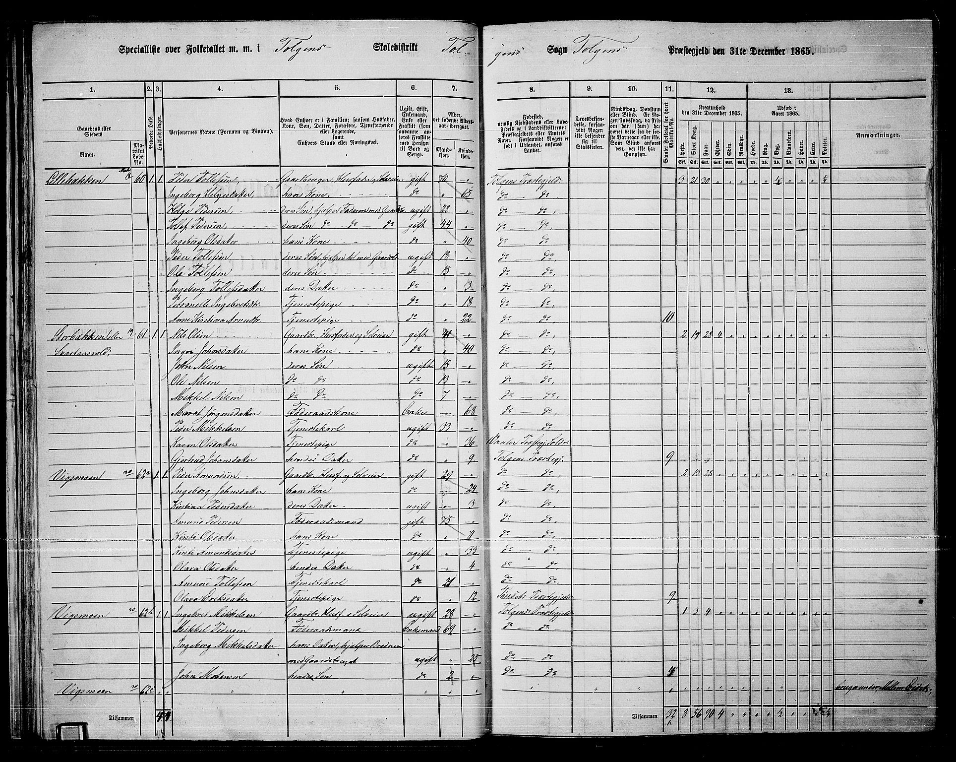RA, 1865 census for Tolga, 1865, p. 37