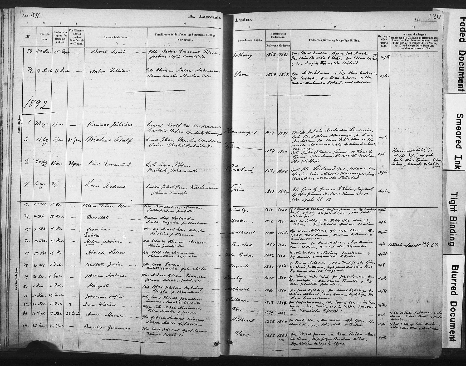 Lista sokneprestkontor, AV/SAK-1111-0027/F/Fa/L0012: Parish register (official) no. A 12, 1879-1903, p. 120