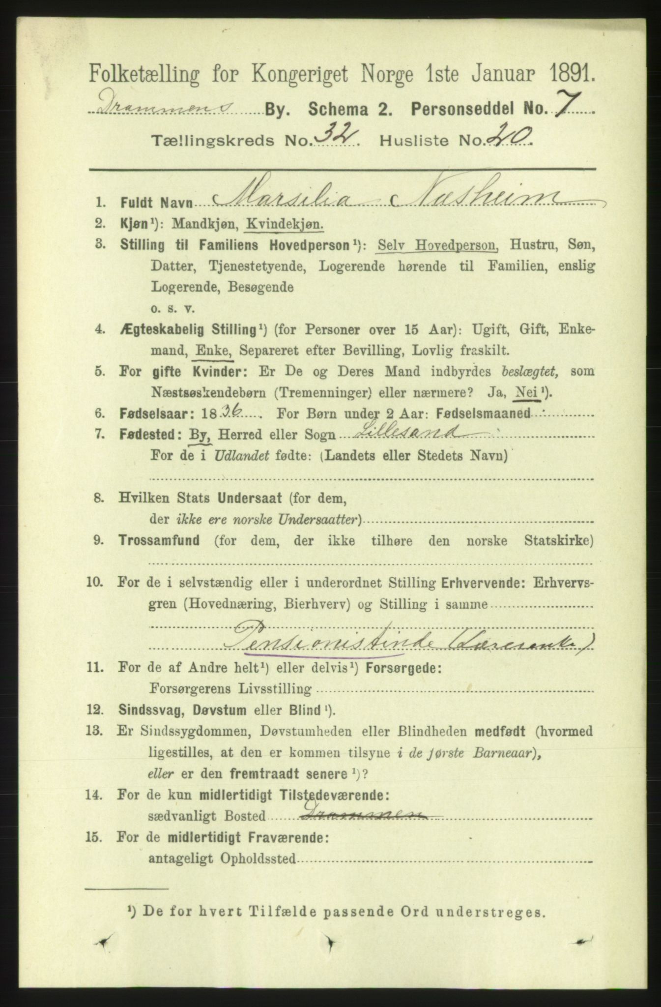 RA, 1891 census for 0602 Drammen, 1891, p. 19518