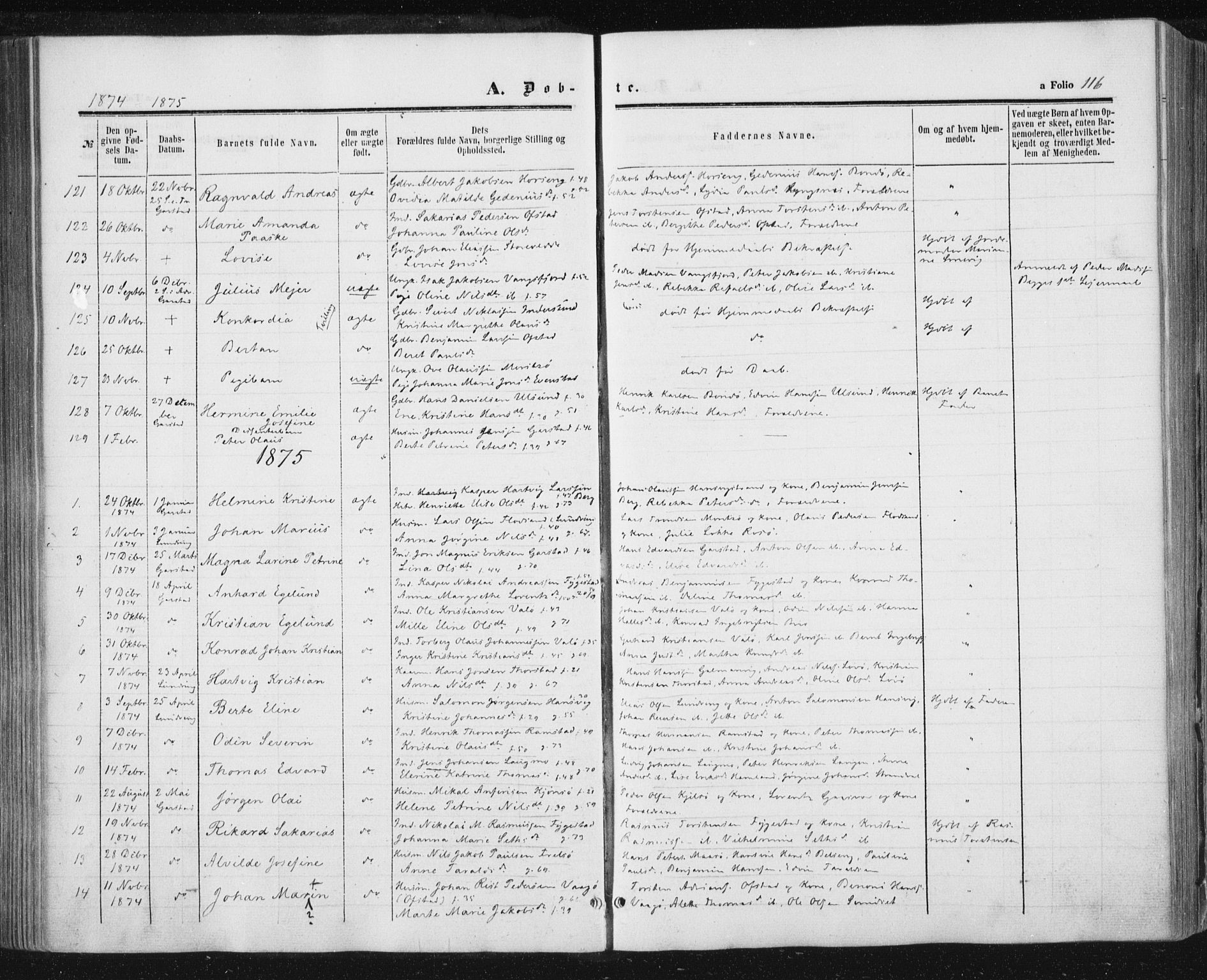 Ministerialprotokoller, klokkerbøker og fødselsregistre - Nord-Trøndelag, SAT/A-1458/784/L0670: Parish register (official) no. 784A05, 1860-1876, p. 116