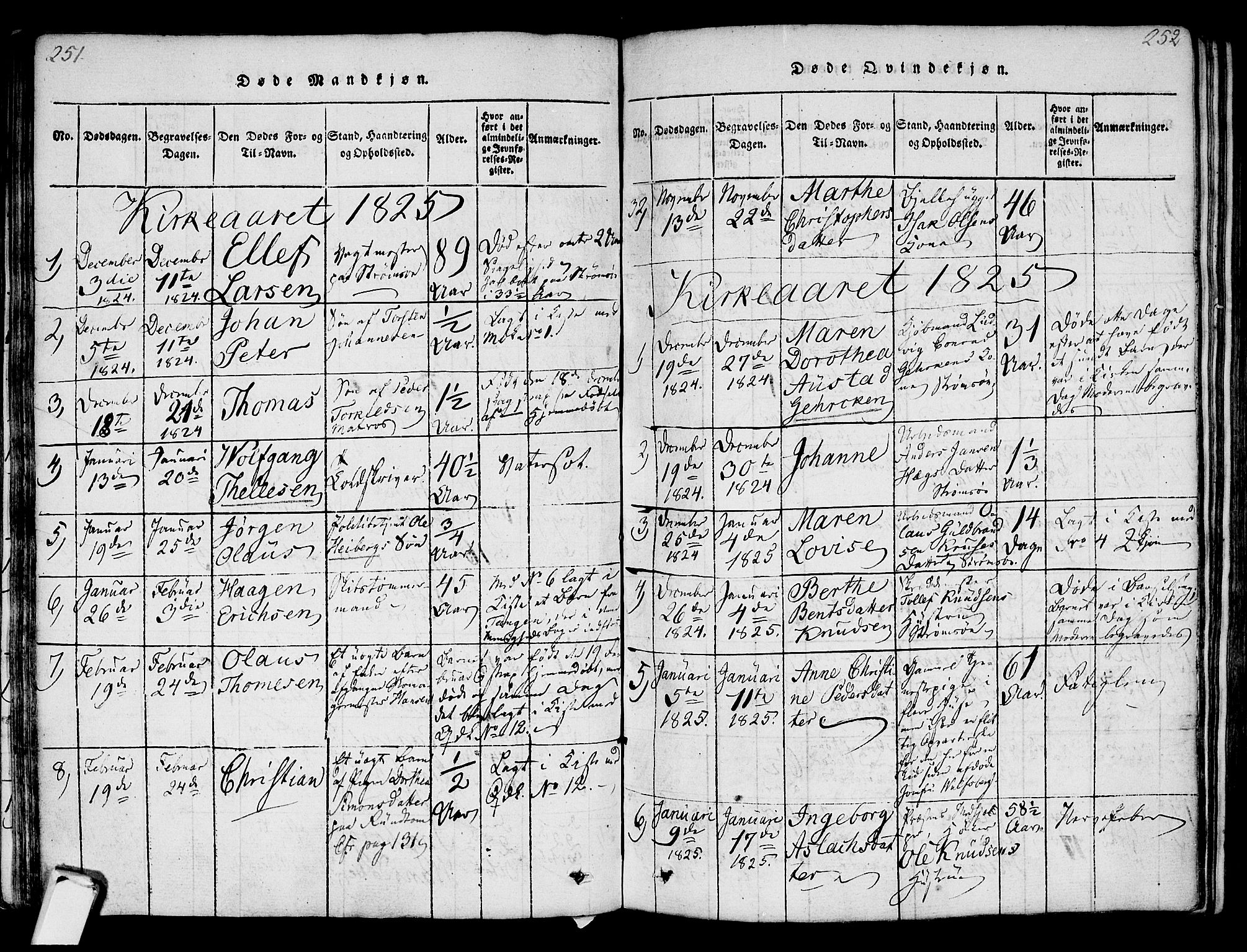 Strømsø kirkebøker, SAKO/A-246/F/Fa/L0011: Parish register (official) no. I 11, 1815-1829, p. 251-252