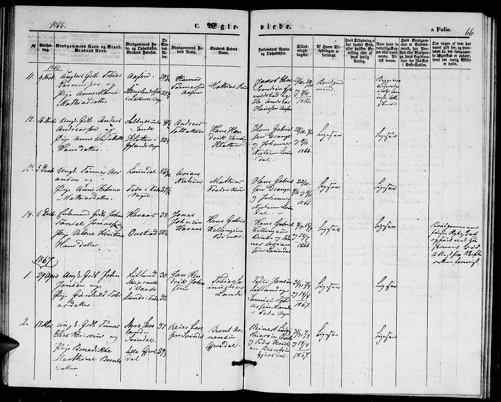 Herad sokneprestkontor, AV/SAK-1111-0018/F/Fb/Fba/L0003: Parish register (copy) no. B 3, 1863-1883, p. 66