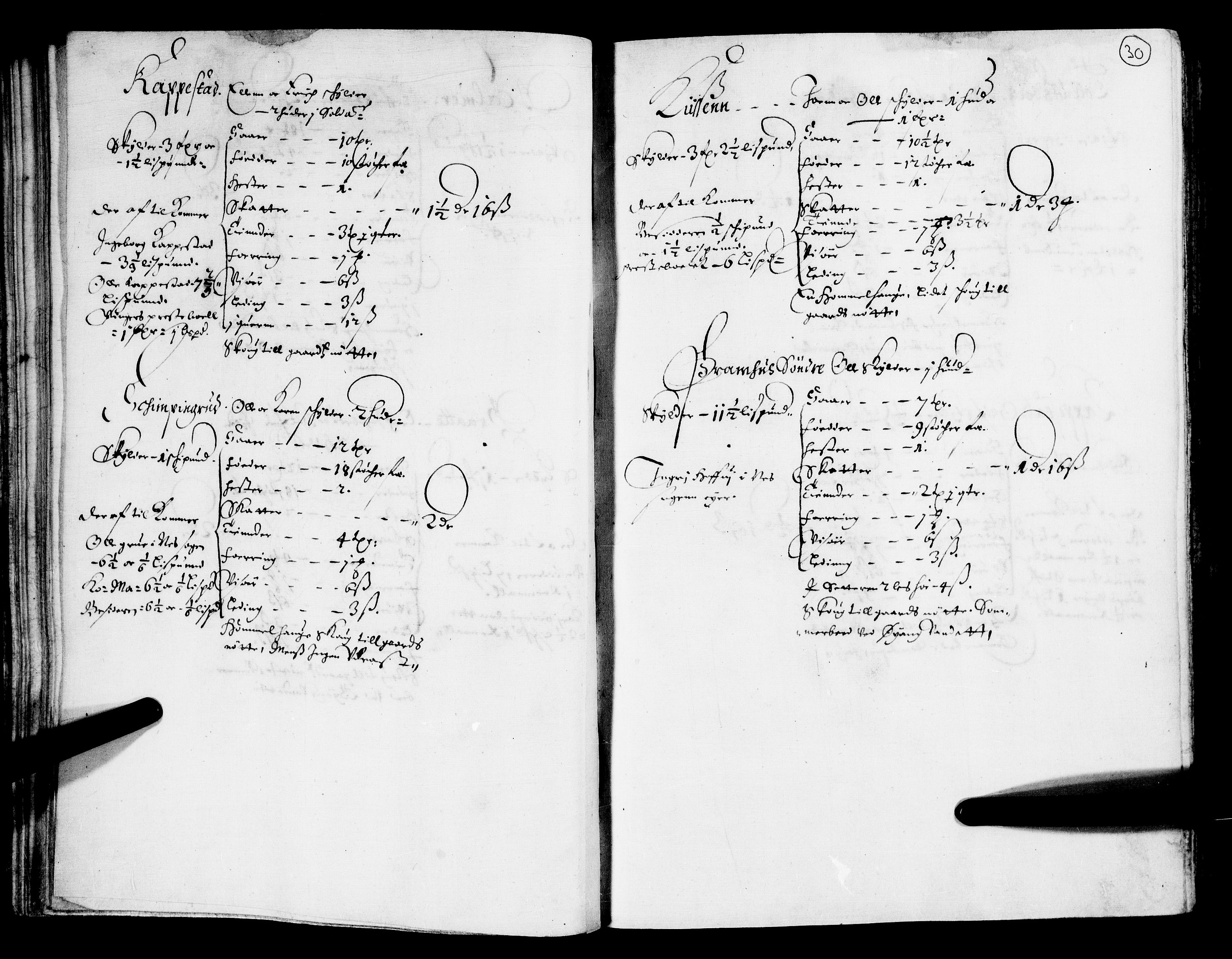 Rentekammeret inntil 1814, Realistisk ordnet avdeling, AV/RA-EA-4070/N/Nb/Nba/L0011: Odal, Solør og Østerdalen fogderi, 1667, p. 29b-30a
