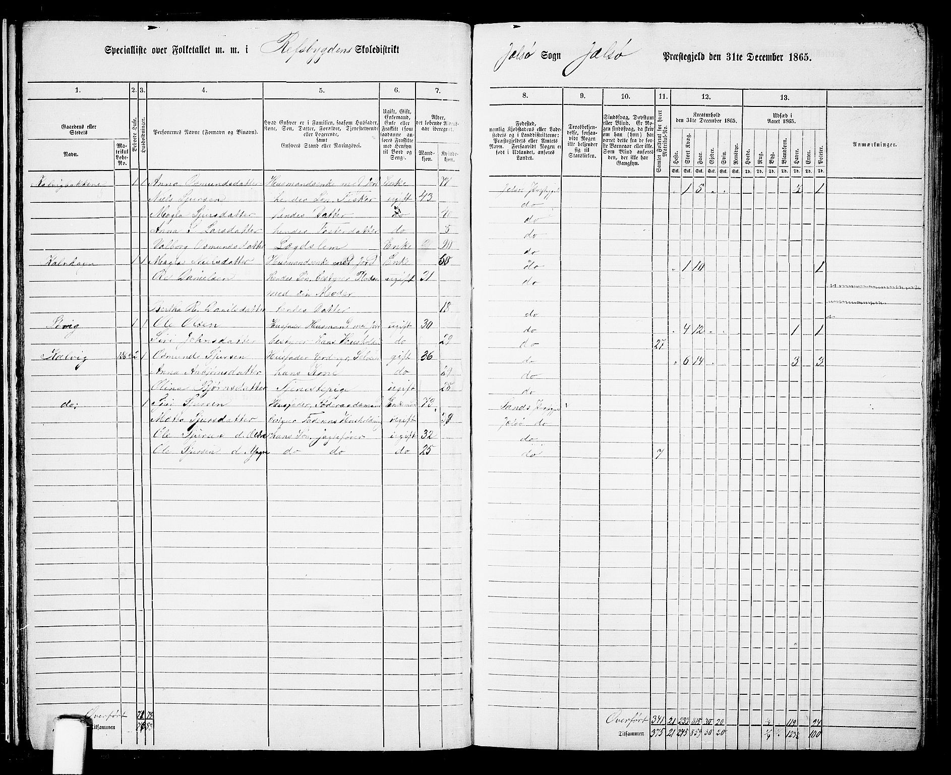 RA, 1865 census for Jelsa, 1865, p. 23