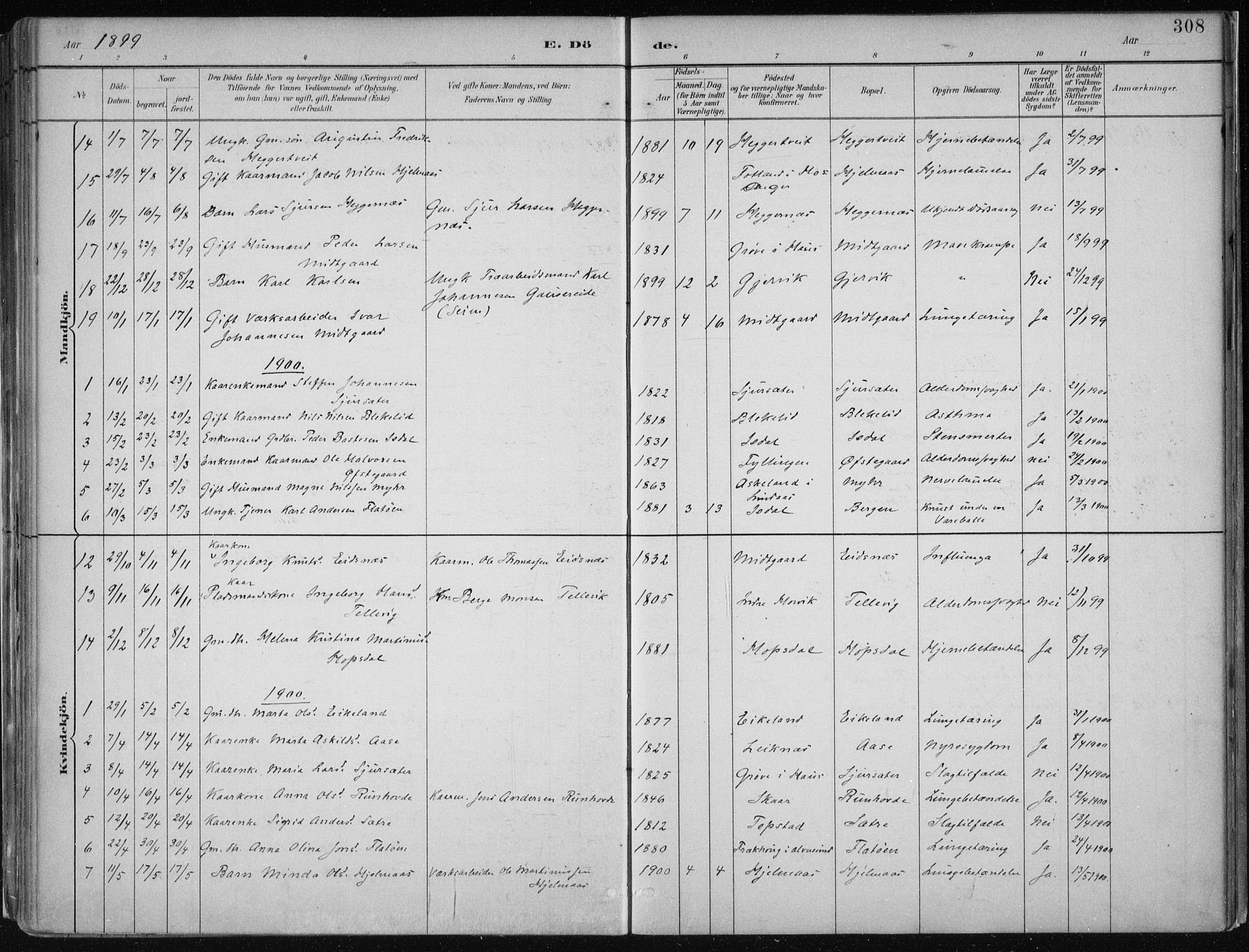 Hamre sokneprestembete, SAB/A-75501/H/Ha/Haa/Haab/L0001: Parish register (official) no. B  1, 1882-1905, p. 308