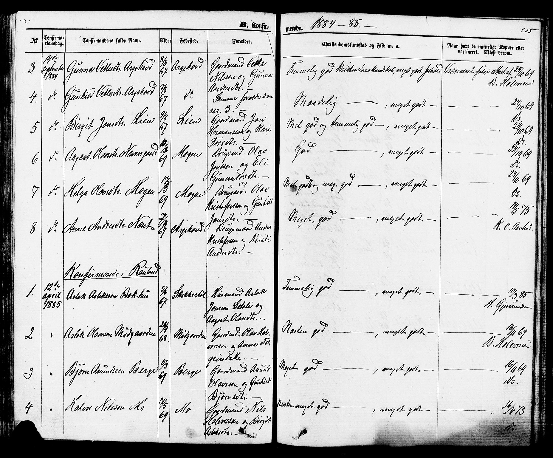 Rauland kirkebøker, SAKO/A-292/F/Fa/L0003: Parish register (official) no. 3, 1859-1886, p. 205