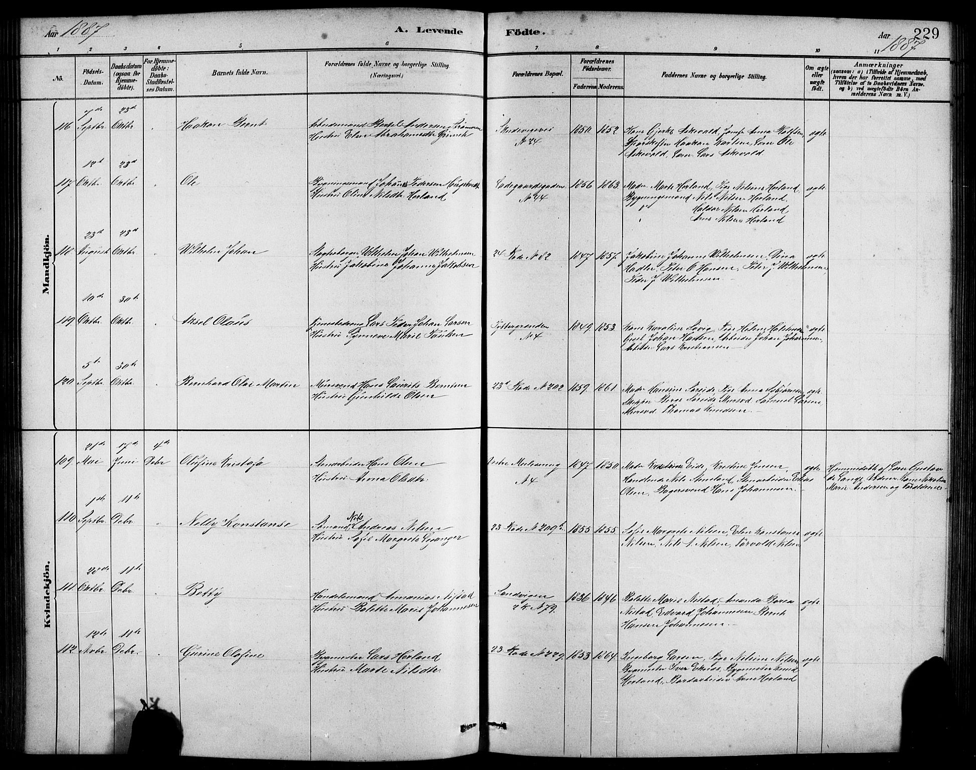 Sandviken Sokneprestembete, AV/SAB-A-77601/H/Hb/L0001: Parish register (copy) no. A 2, 1879-1892, p. 229