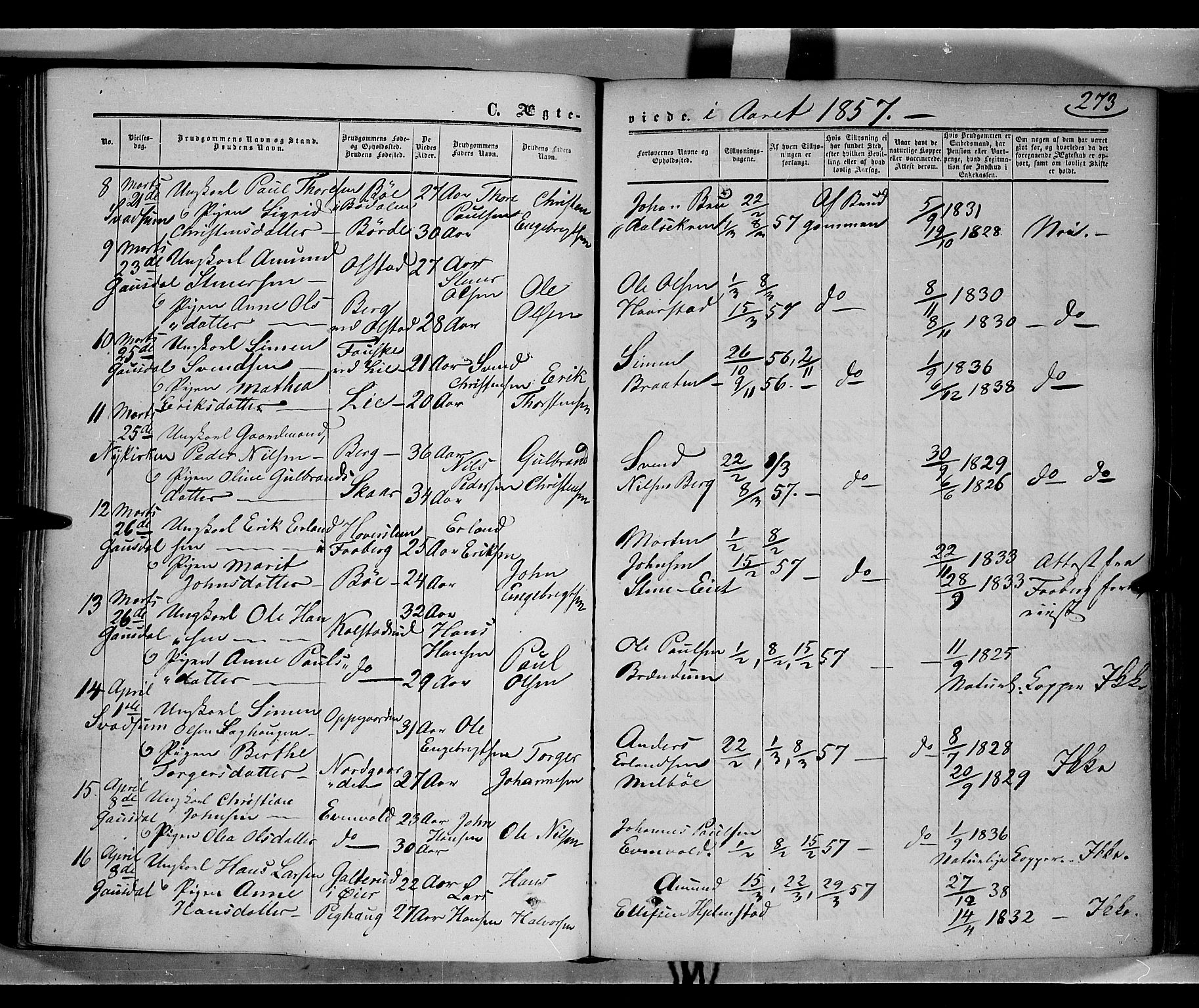Gausdal prestekontor, SAH/PREST-090/H/Ha/Haa/L0008: Parish register (official) no. 8, 1850-1861, p. 273