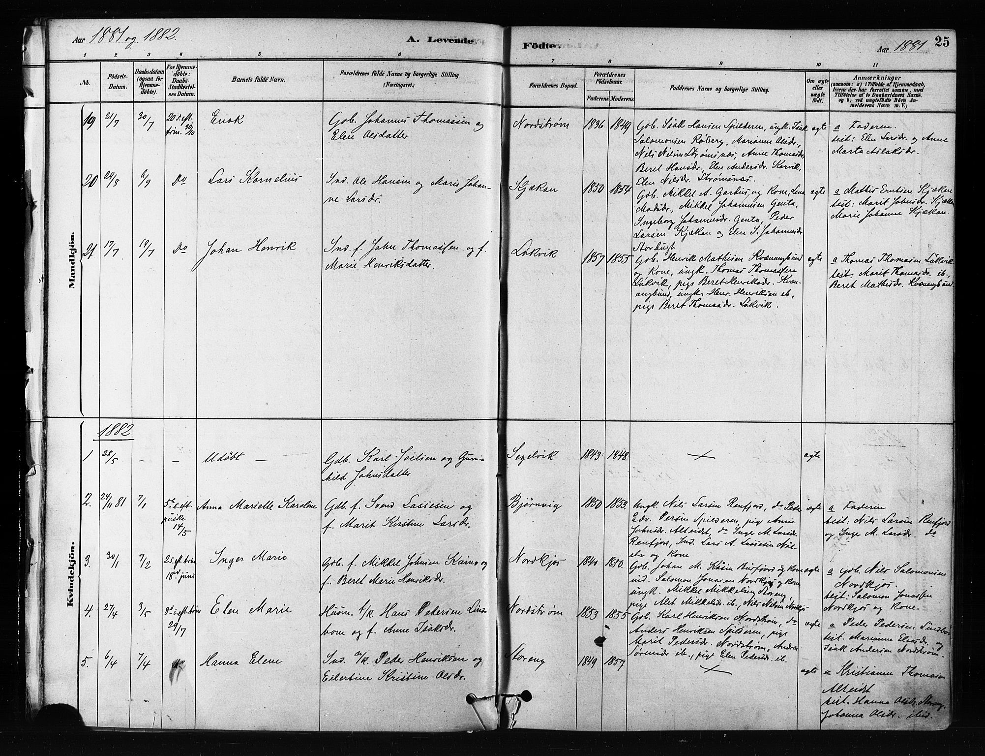 Skjervøy sokneprestkontor, AV/SATØ-S-1300/H/Ha/Haa/L0012kirke: Parish register (official) no. 12, 1878-1891, p. 25