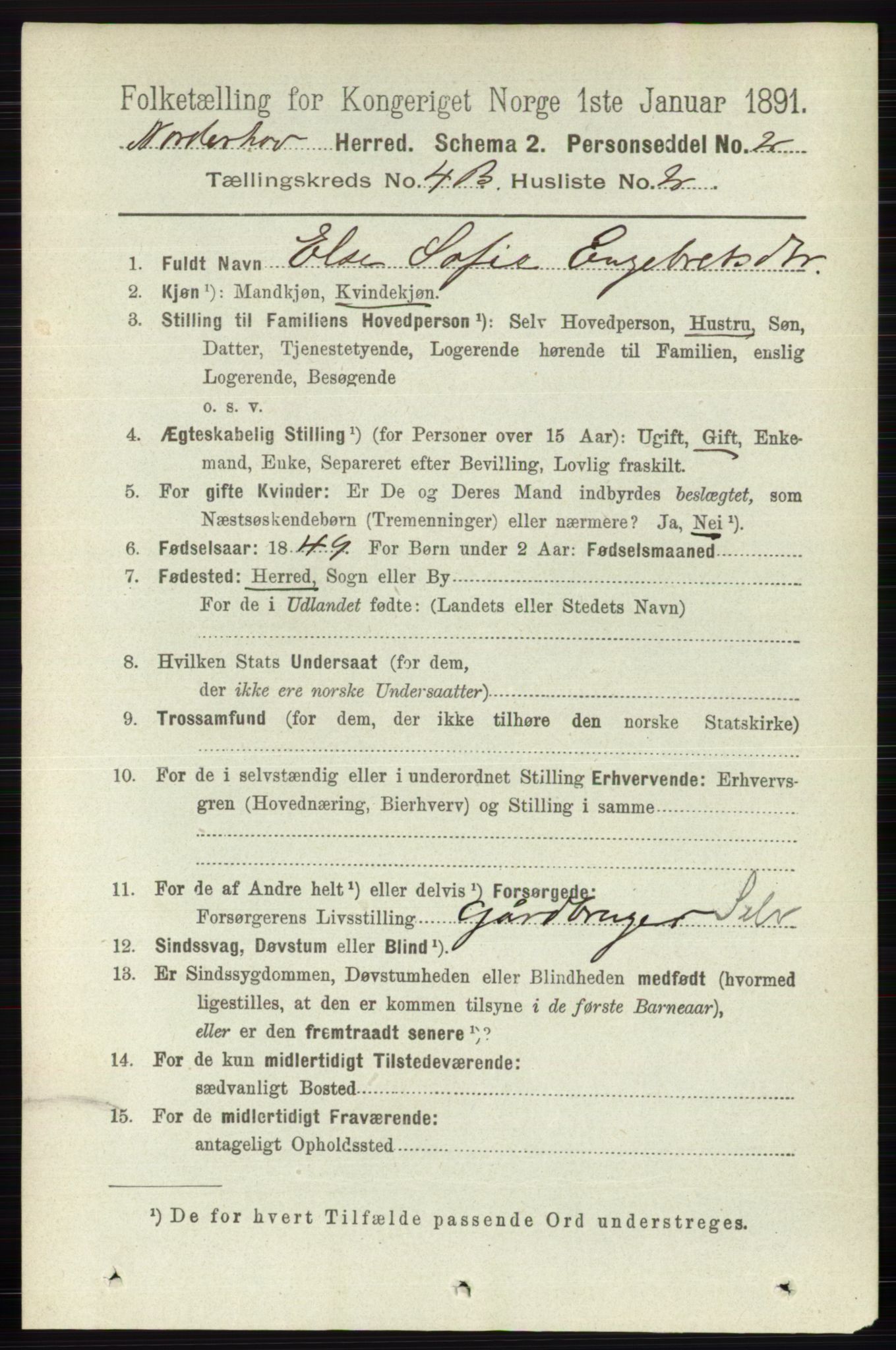 RA, 1891 census for 0613 Norderhov, 1891, p. 2006