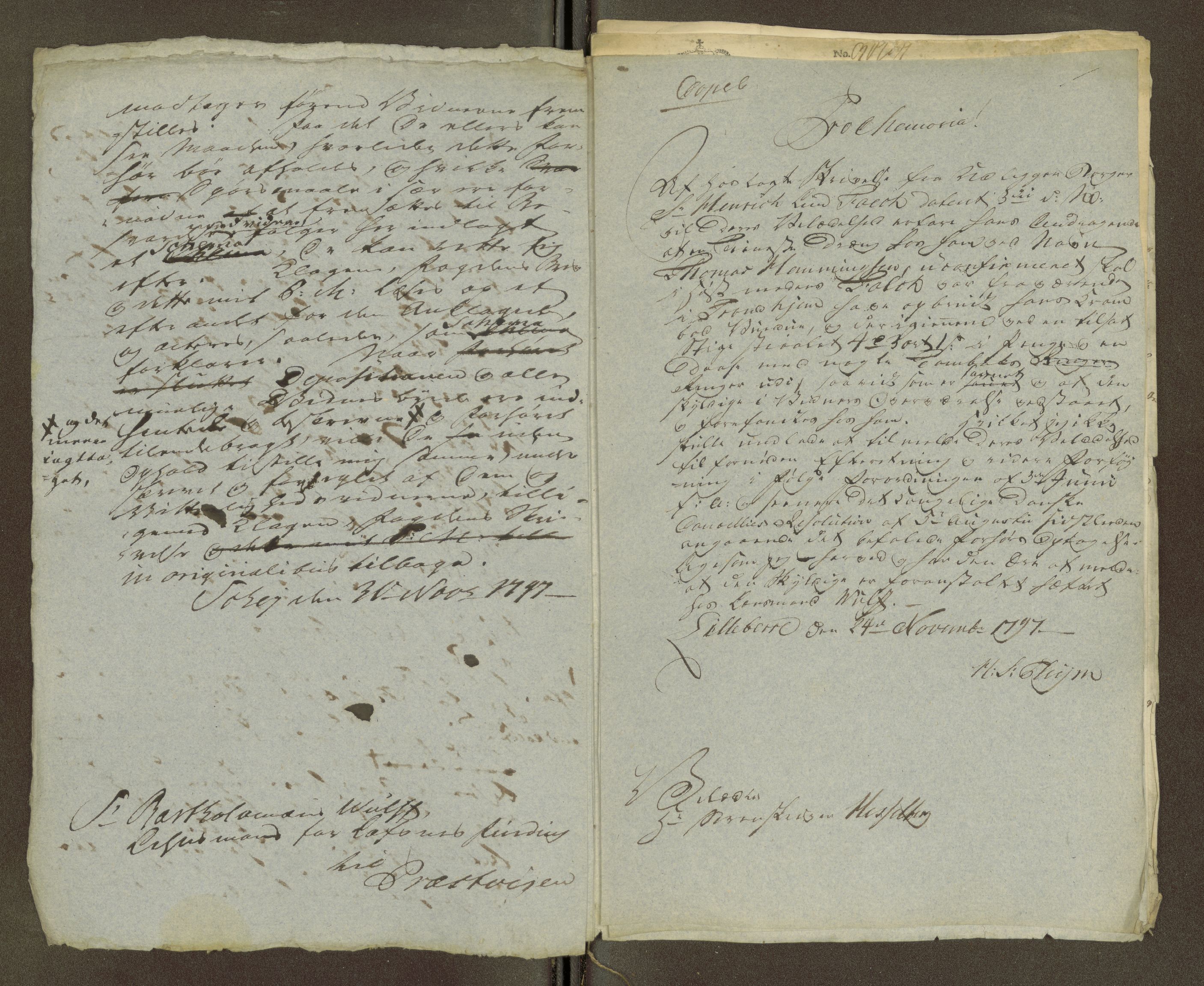 Namdal sorenskriveri, AV/SAT-A-4133/1/1/1O/1Oa/L0007: Sivile og offentlige saker, 1798, p. 434