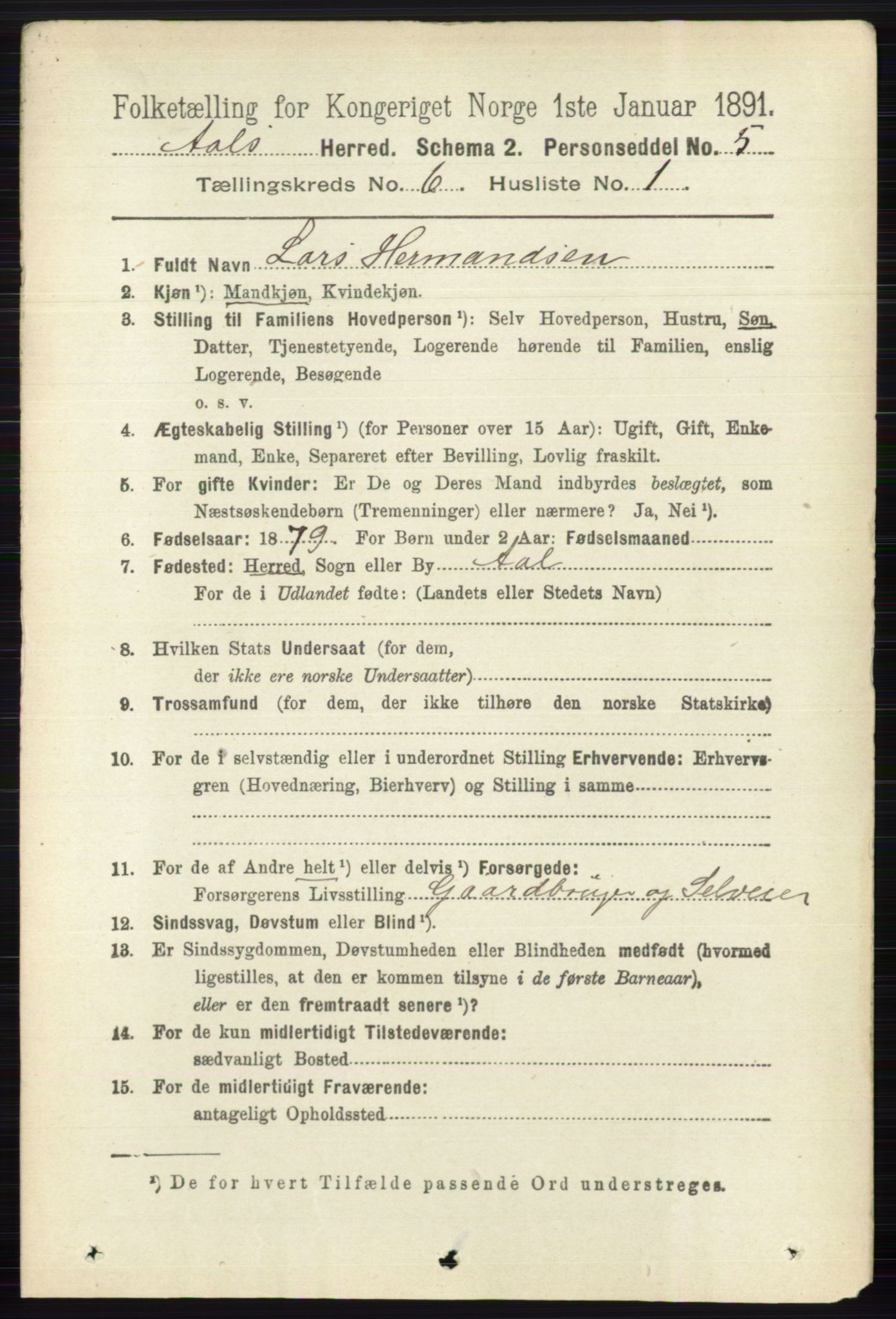 RA, 1891 census for 0619 Ål, 1891, p. 1525