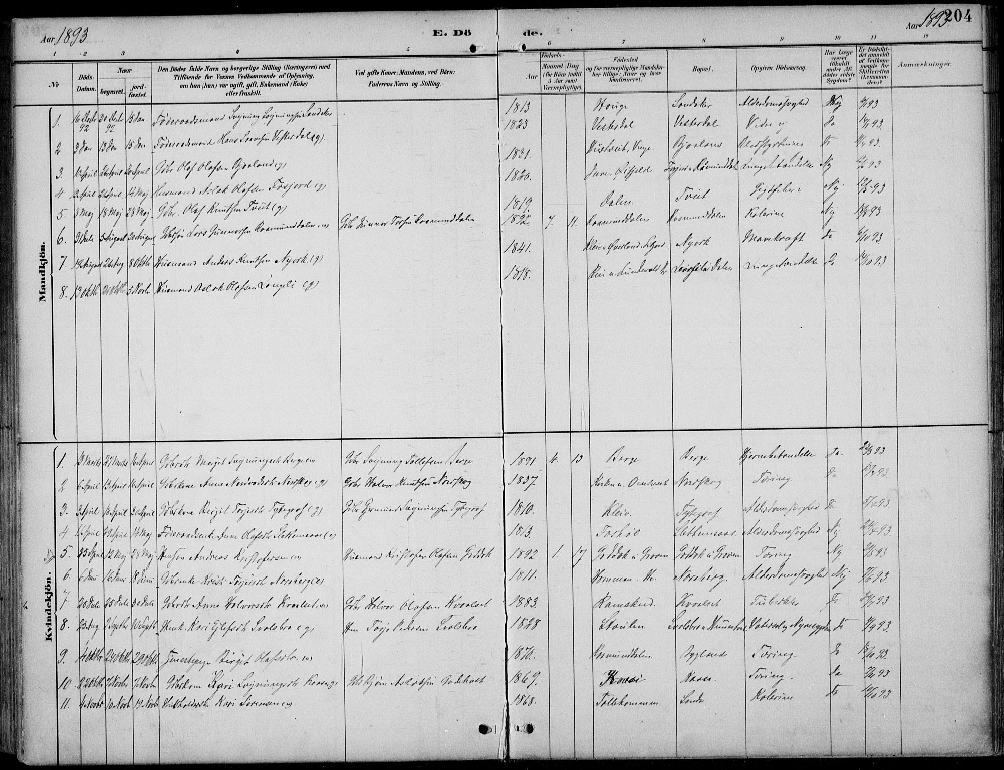 Kviteseid kirkebøker, SAKO/A-276/F/Fb/L0002: Parish register (official) no. II 2, 1882-1916, p. 204
