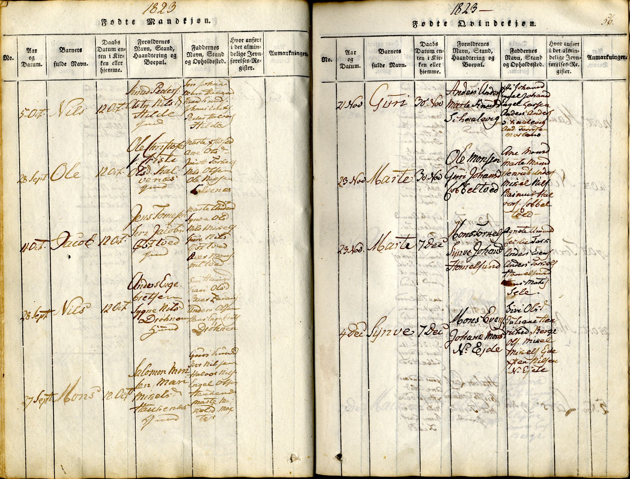 Sund sokneprestembete, AV/SAB-A-99930: Parish register (official) no. A 11, 1814-1825, p. 56