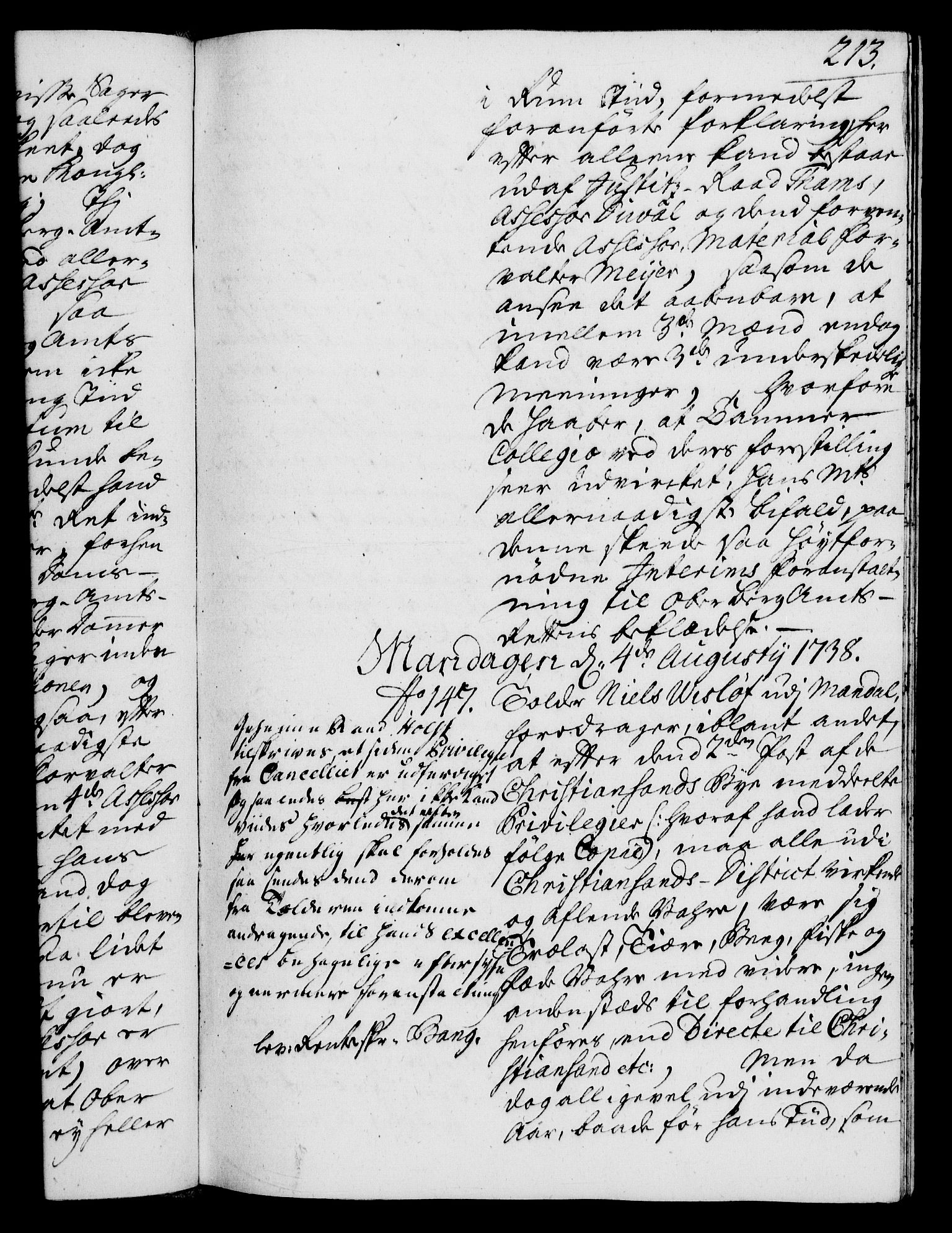 Rentekammeret, Kammerkanselliet, RA/EA-3111/G/Gh/Gha/L0020: Norsk ekstraktmemorialprotokoll (merket RK 53.65), 1738-1739, p. 213