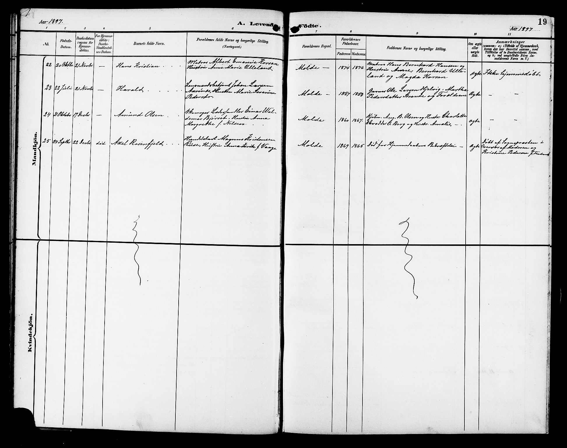 Ministerialprotokoller, klokkerbøker og fødselsregistre - Møre og Romsdal, SAT/A-1454/558/L0702: Parish register (copy) no. 558C03, 1894-1915, p. 19