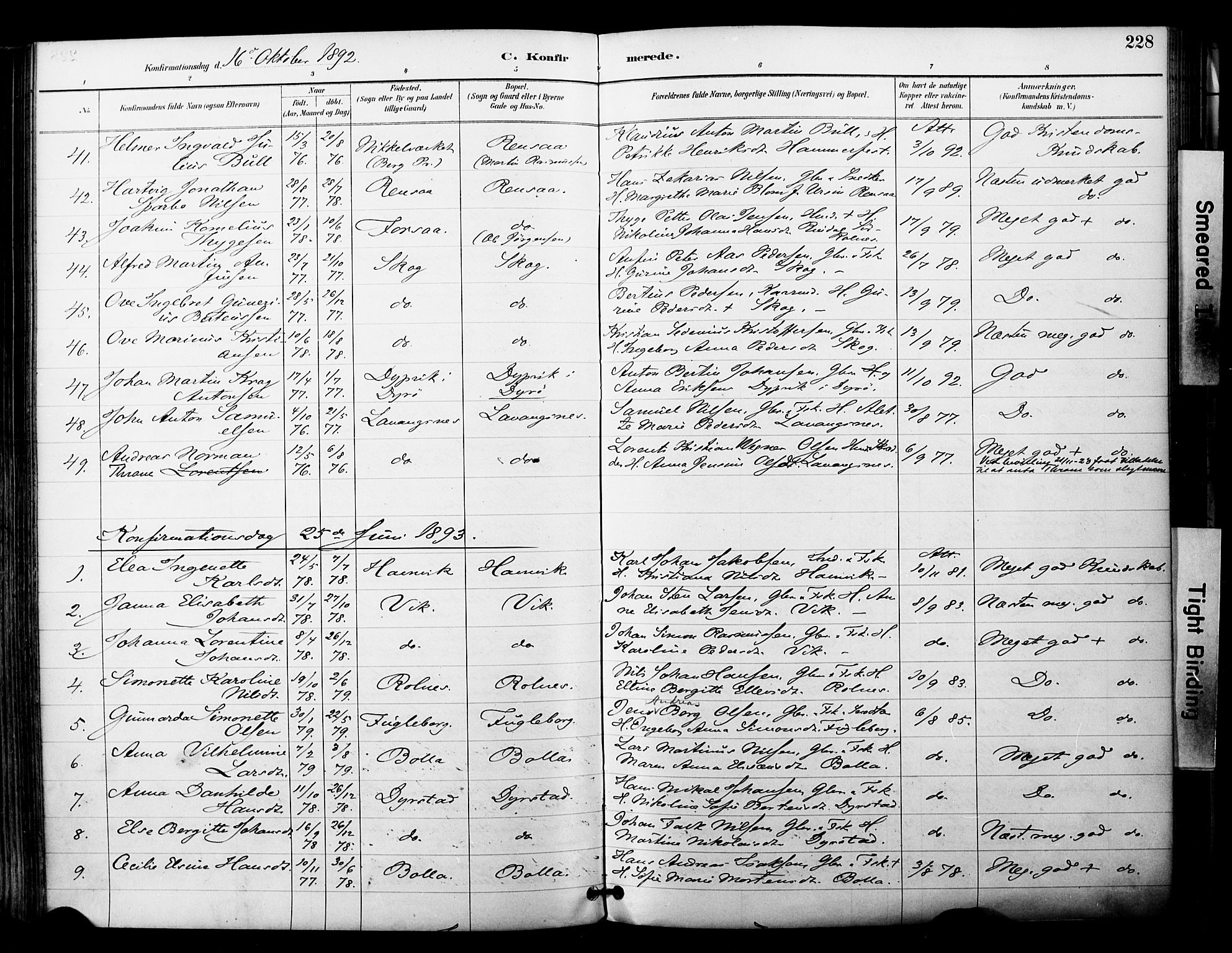 Ibestad sokneprestembete, SATØ/S-0077/H/Ha/Haa/L0012kirke: Parish register (official) no. 12, 1890-1900, p. 228