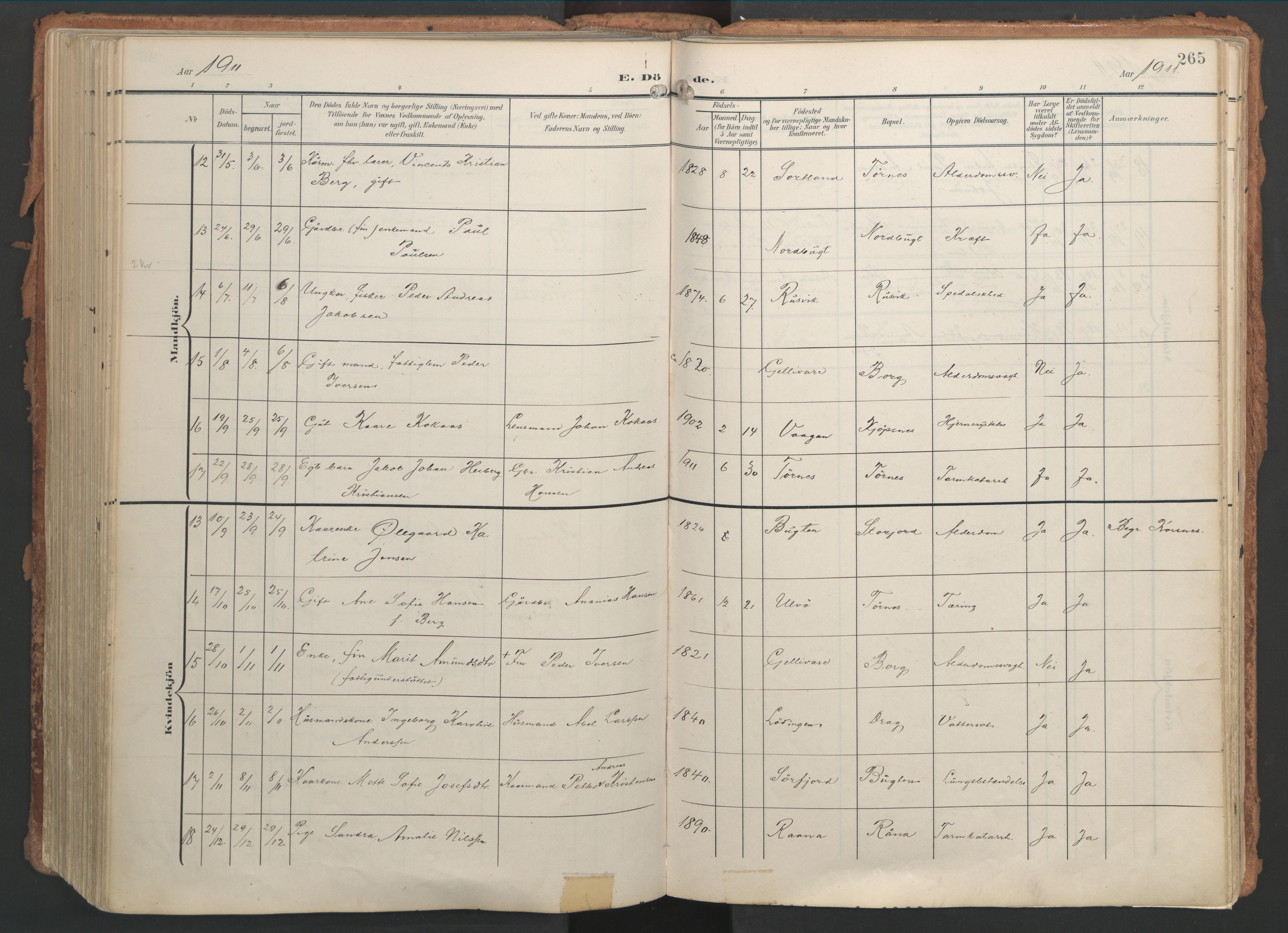 Ministerialprotokoller, klokkerbøker og fødselsregistre - Nordland, SAT/A-1459/861/L0871: Parish register (official) no. 861A06, 1903-1916, p. 265