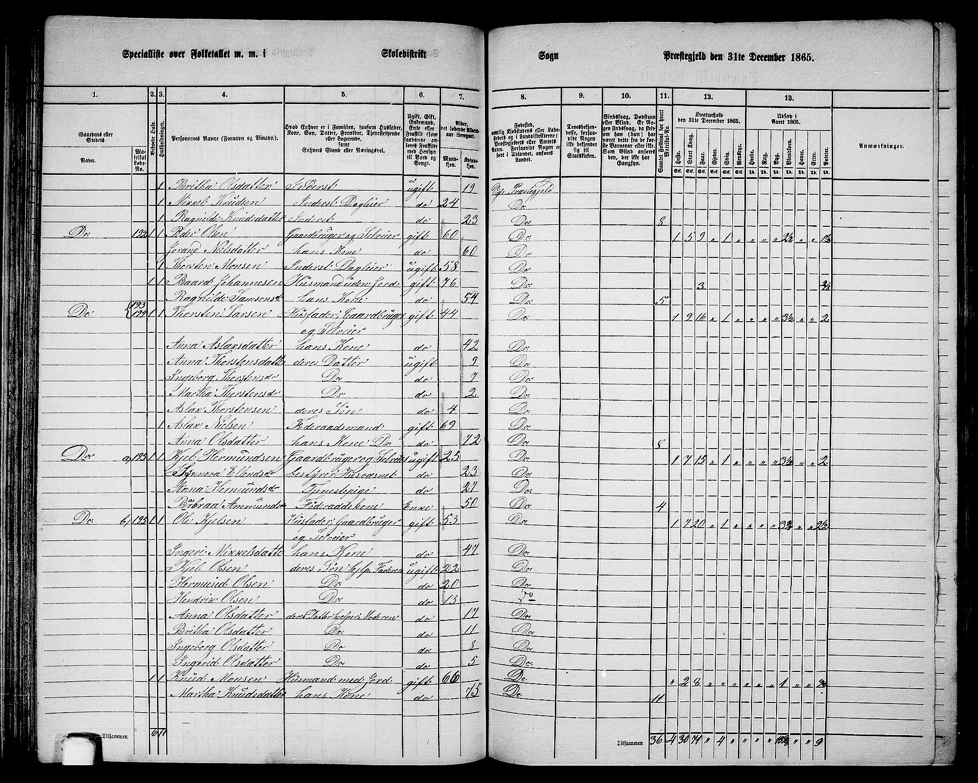RA, 1865 census for Voss, 1865, p. 103