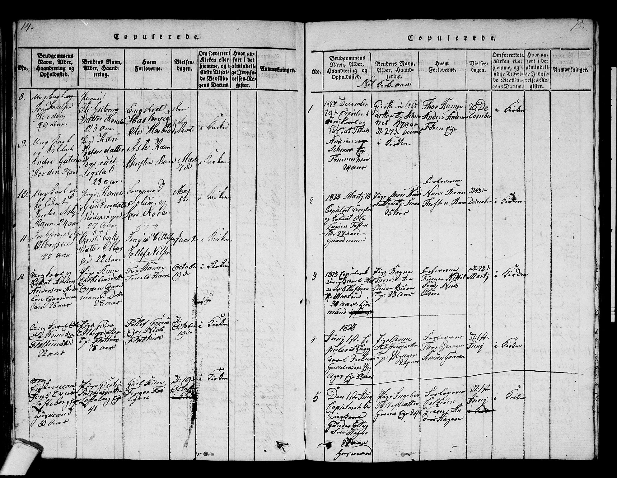 Krødsherad kirkebøker, SAKO/A-19/F/Fa/L0001: Parish register (official) no. 1, 1815-1829, p. 14-15