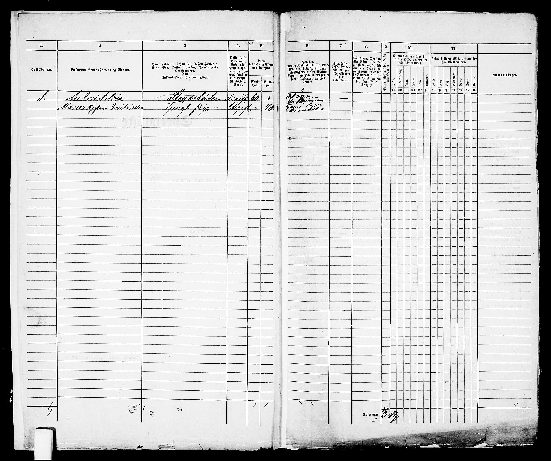 RA, 1865 census for Arendal, 1865, p. 350