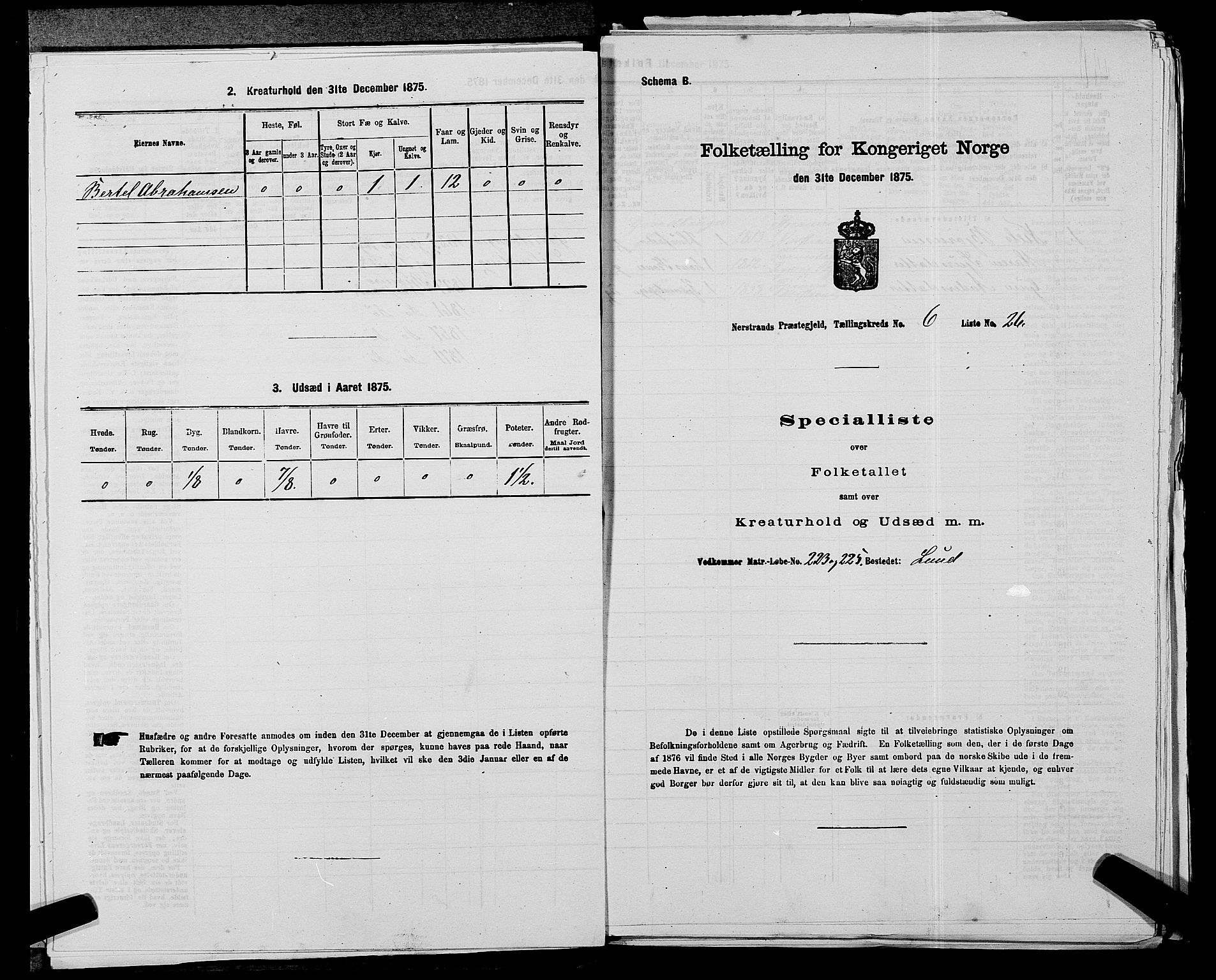 SAST, 1875 census for 1139P Nedstrand, 1875, p. 690