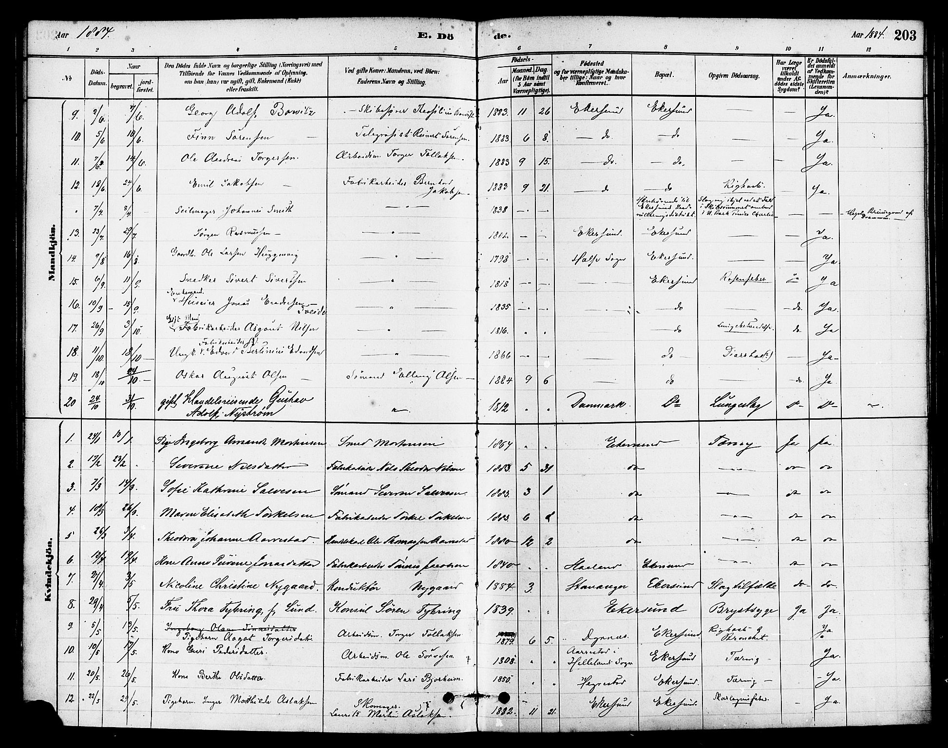 Eigersund sokneprestkontor, AV/SAST-A-101807/S08/L0015: Parish register (official) no. A 15, 1879-1892, p. 203