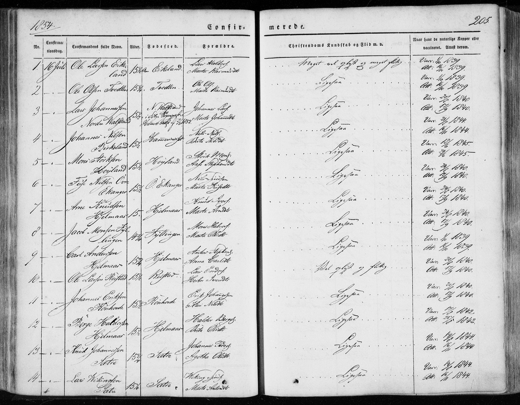 Hamre sokneprestembete, SAB/A-75501/H/Ha/Haa/Haaa/L0013: Parish register (official) no. A 13, 1846-1857, p. 205
