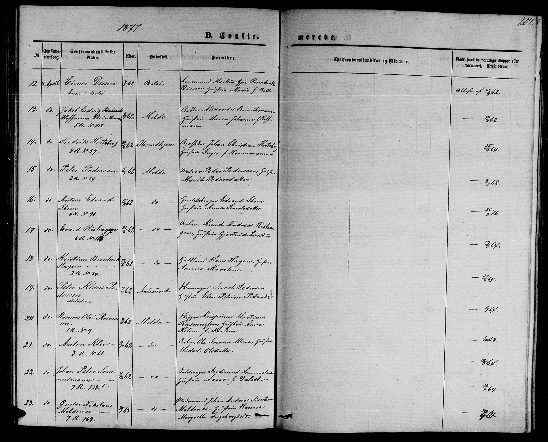 Ministerialprotokoller, klokkerbøker og fødselsregistre - Møre og Romsdal, AV/SAT-A-1454/558/L0701: Parish register (copy) no. 558C02, 1862-1879, p. 204