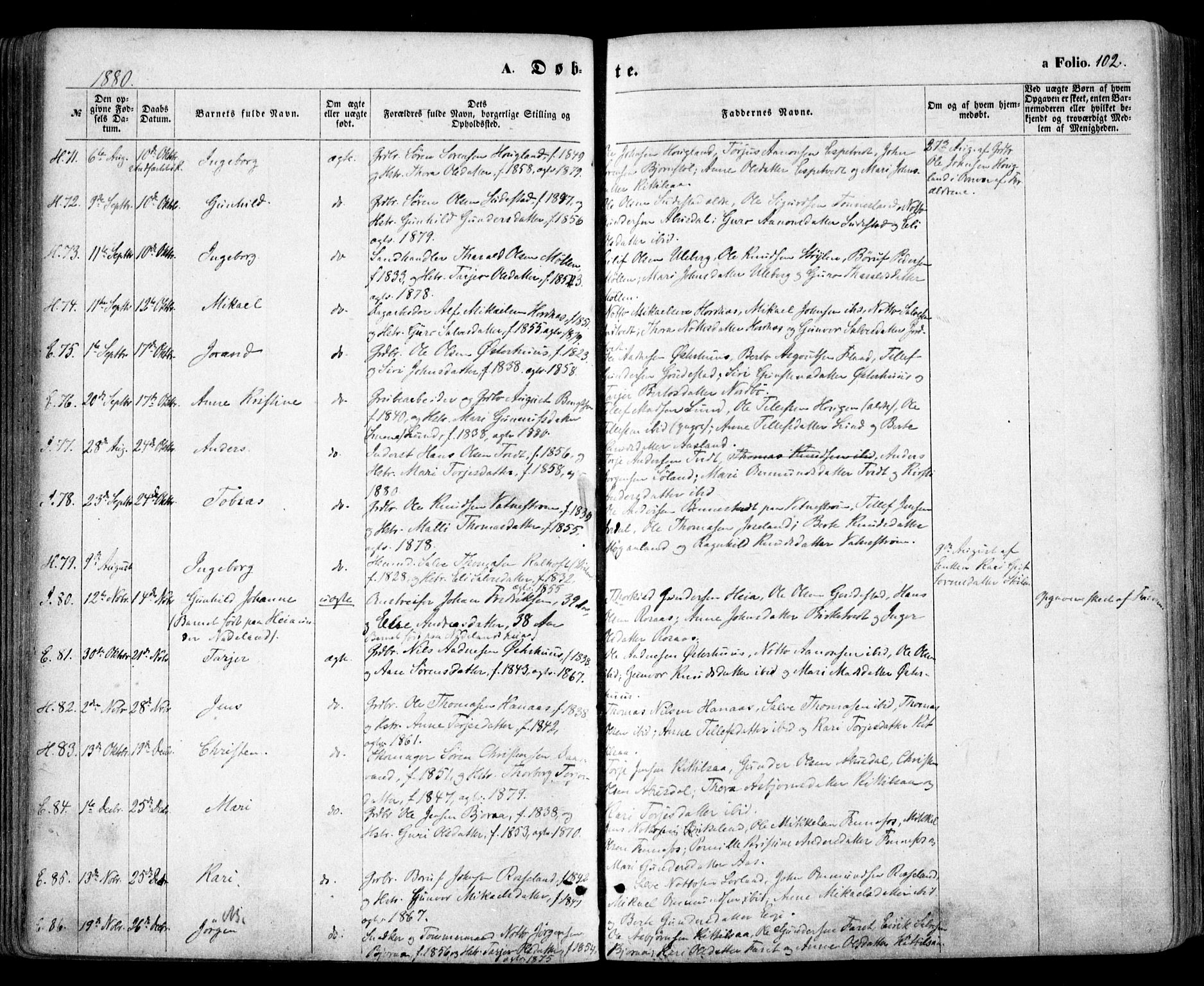 Evje sokneprestkontor, AV/SAK-1111-0008/F/Fa/Faa/L0006: Parish register (official) no. A 6, 1866-1884, p. 102