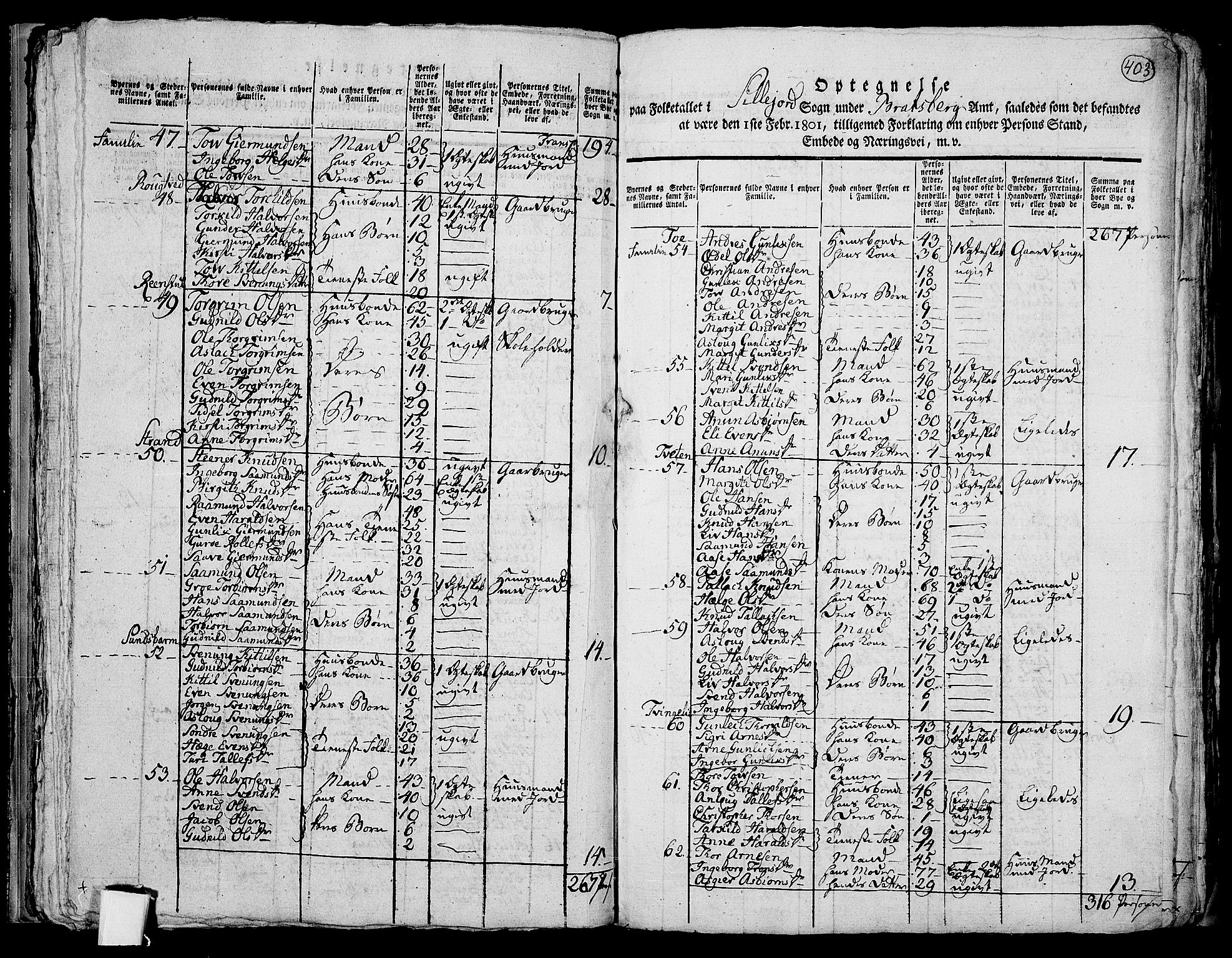 RA, 1801 census for 0828P Seljord, 1801, p. 402b-403a
