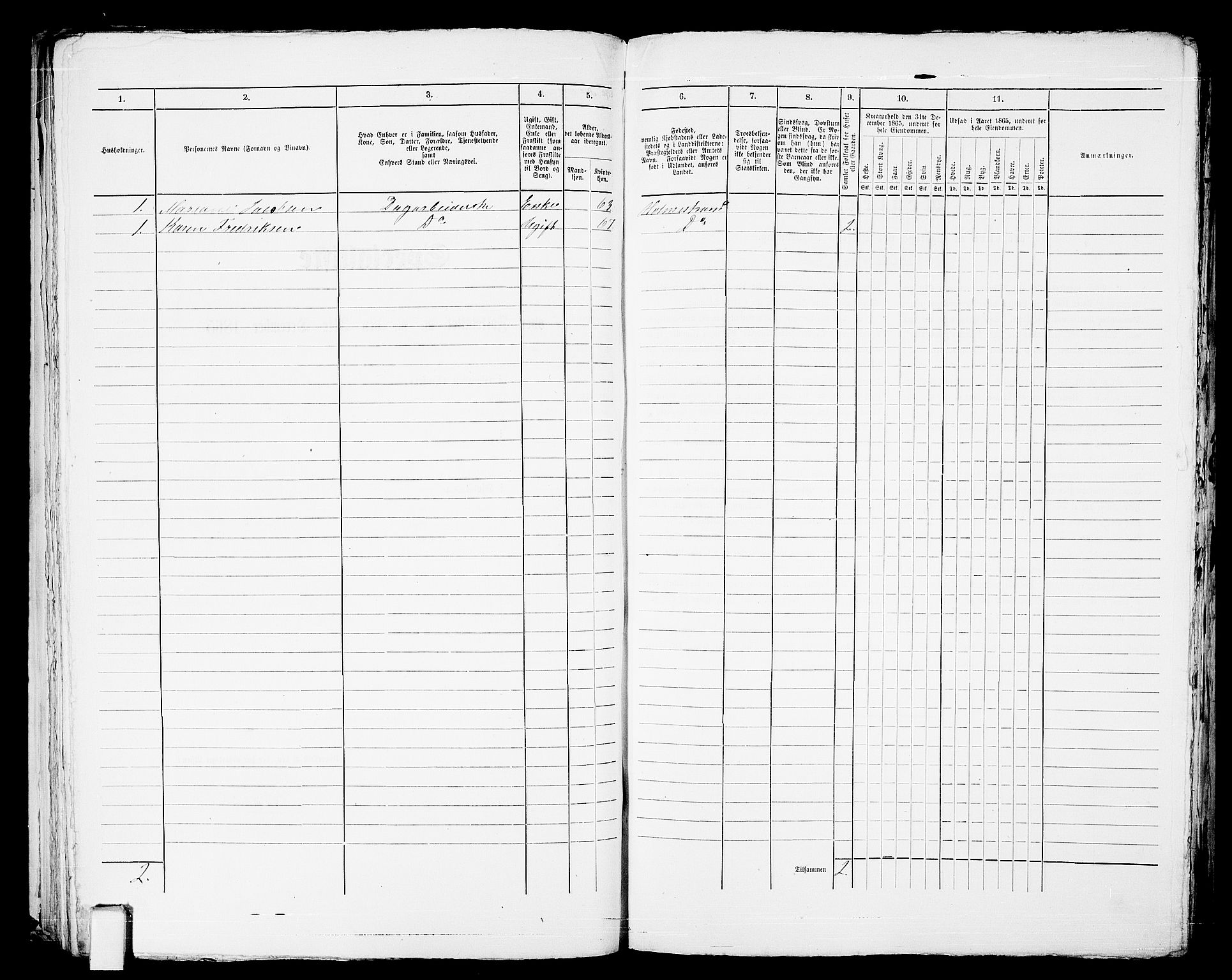 RA, 1865 census for Botne/Holmestrand, 1865, p. 146