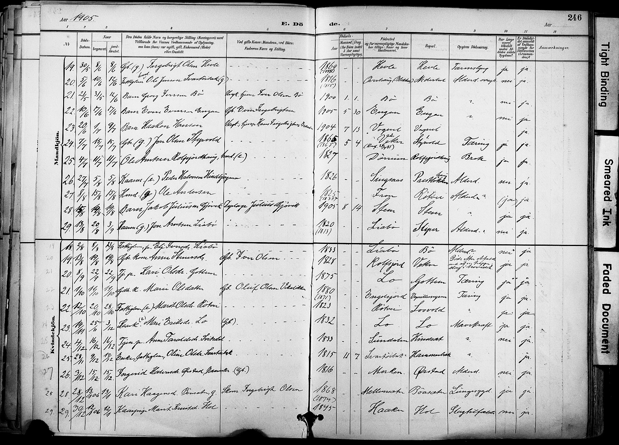 Ministerialprotokoller, klokkerbøker og fødselsregistre - Sør-Trøndelag, SAT/A-1456/678/L0902: Parish register (official) no. 678A11, 1895-1911, p. 246