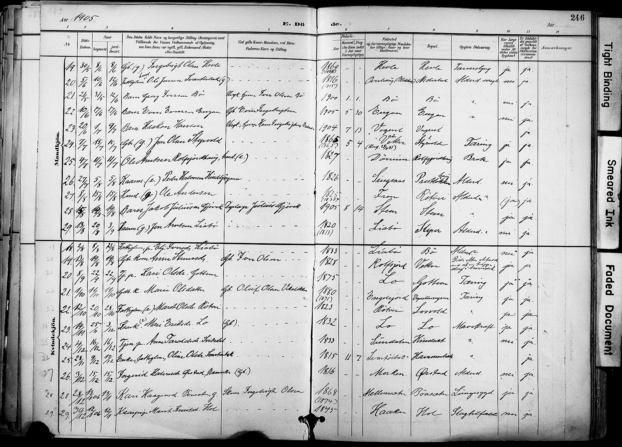 Ministerialprotokoller, klokkerbøker og fødselsregistre - Sør-Trøndelag, AV/SAT-A-1456/678/L0902: Parish register (official) no. 678A11, 1895-1911, p. 246