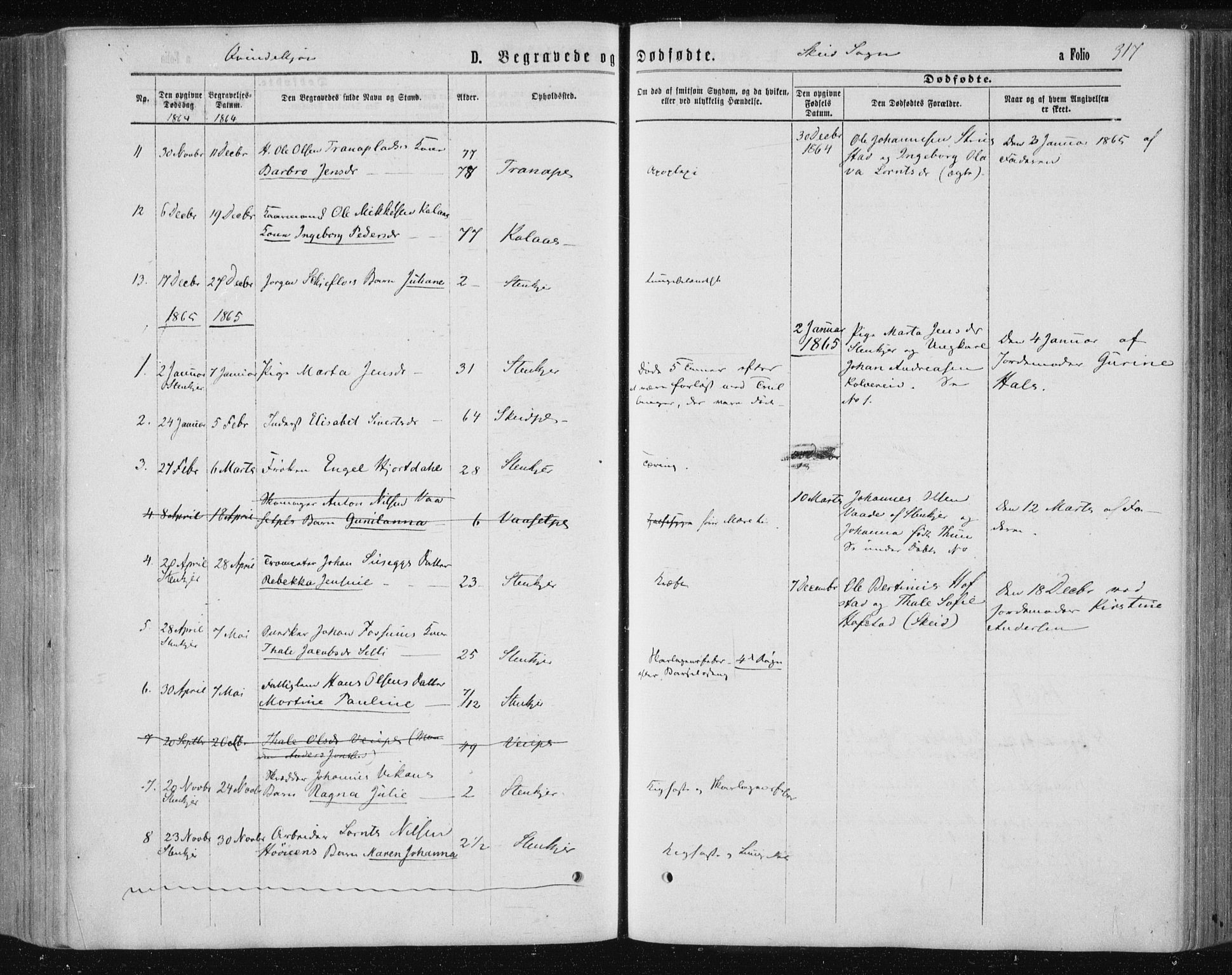 Ministerialprotokoller, klokkerbøker og fødselsregistre - Nord-Trøndelag, AV/SAT-A-1458/735/L0345: Parish register (official) no. 735A08 /2, 1863-1872, p. 317