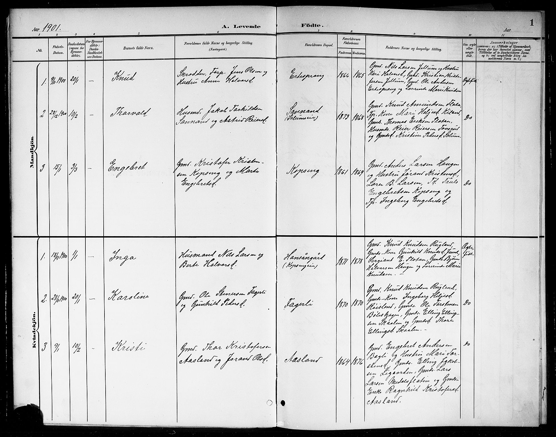 Sigdal kirkebøker, SAKO/A-245/G/Gb/L0003: Parish register (copy) no. II 3, 1901-1916, p. 1