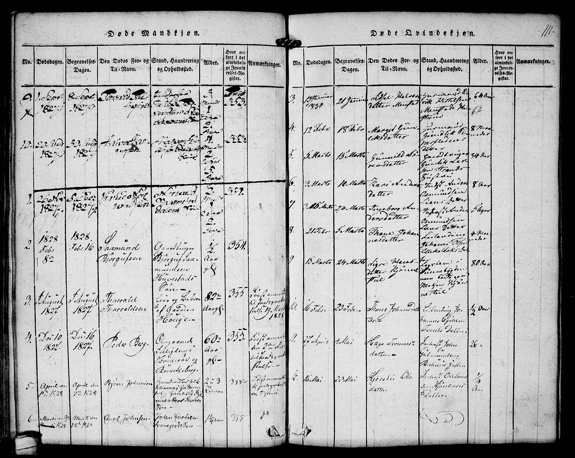 Kviteseid kirkebøker, SAKO/A-276/F/Fb/L0001: Parish register (official) no. II 1, 1815-1836, p. 111