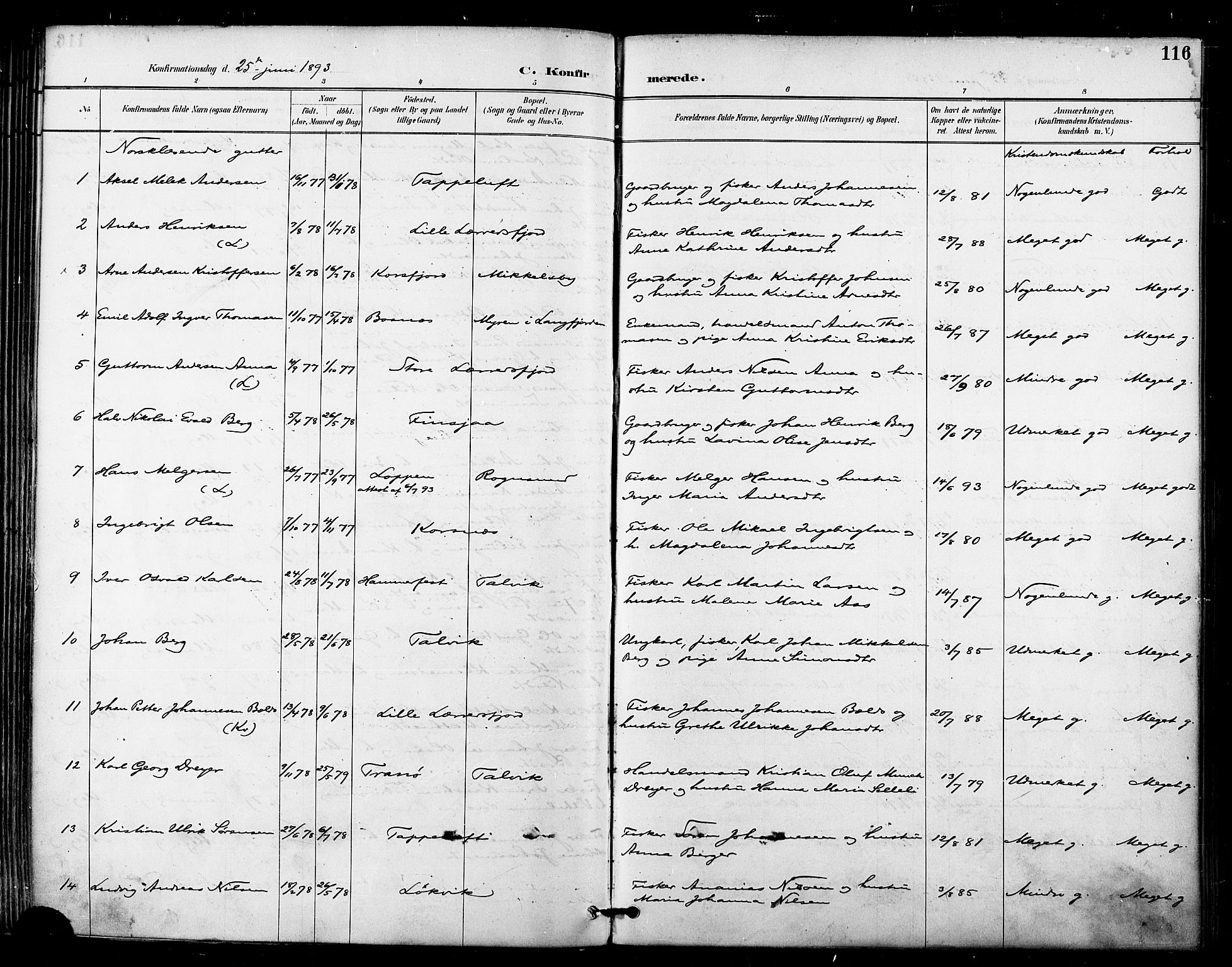 Talvik sokneprestkontor, SATØ/S-1337/H/Ha/L0013kirke: Parish register (official) no. 13, 1886-1897, p. 116