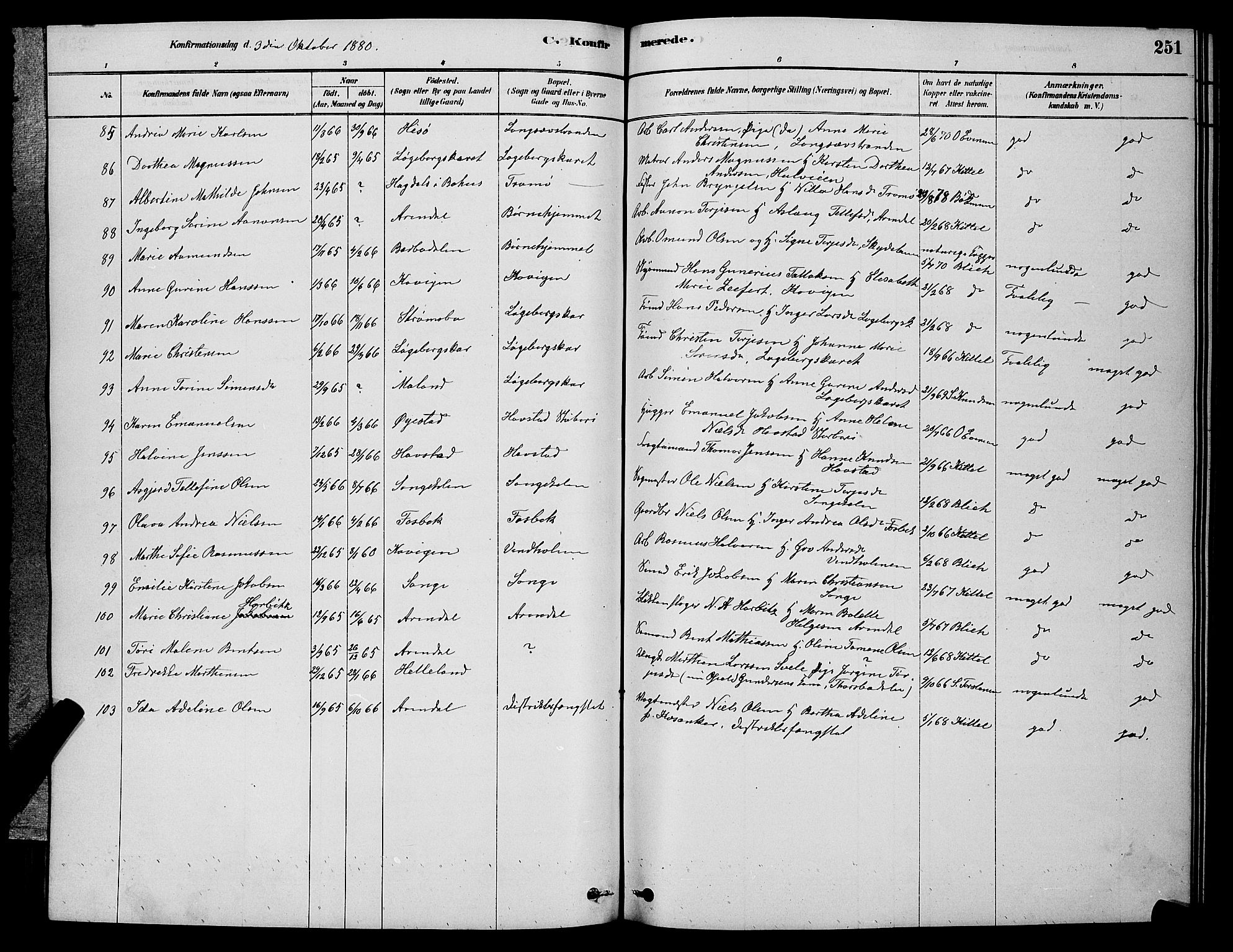 Barbu sokneprestkontor, AV/SAK-1111-0003/F/Fb/L0001: Parish register (copy) no. B 1, 1878-1890, p. 251