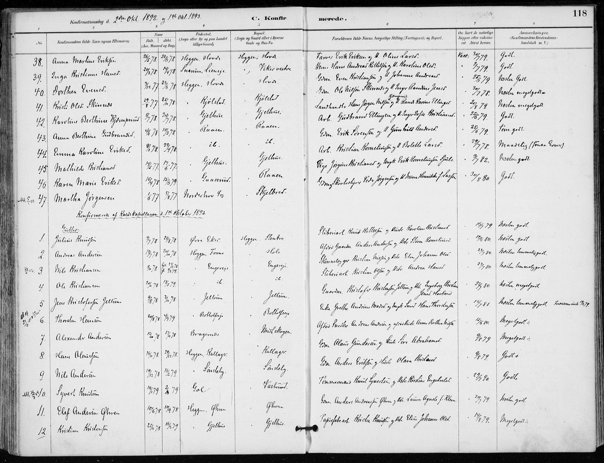 Modum kirkebøker, AV/SAKO-A-234/F/Fa/L0012: Parish register (official) no. 12, 1890-1898, p. 118