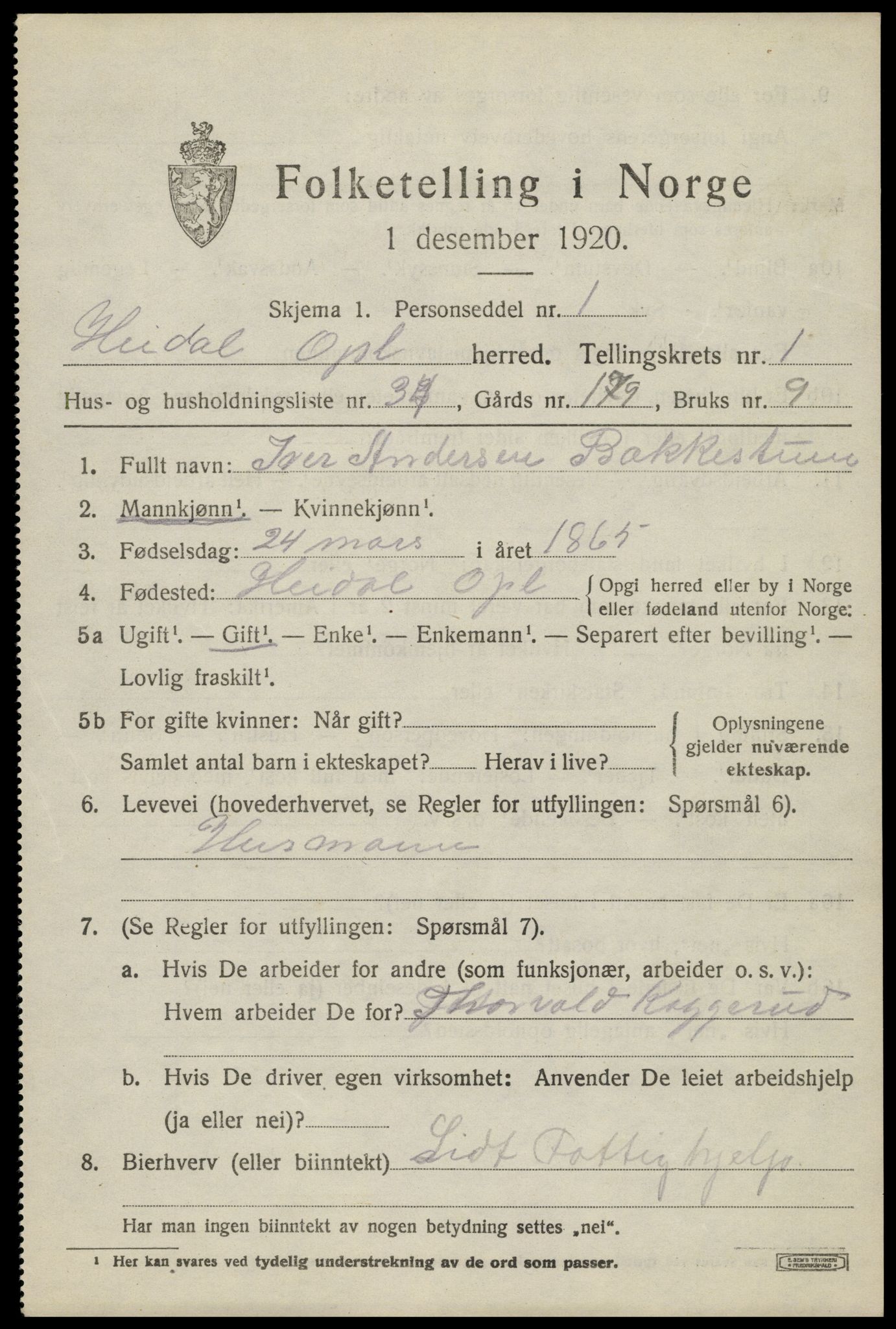 SAH, 1920 census for Heidal, 1920, p. 866