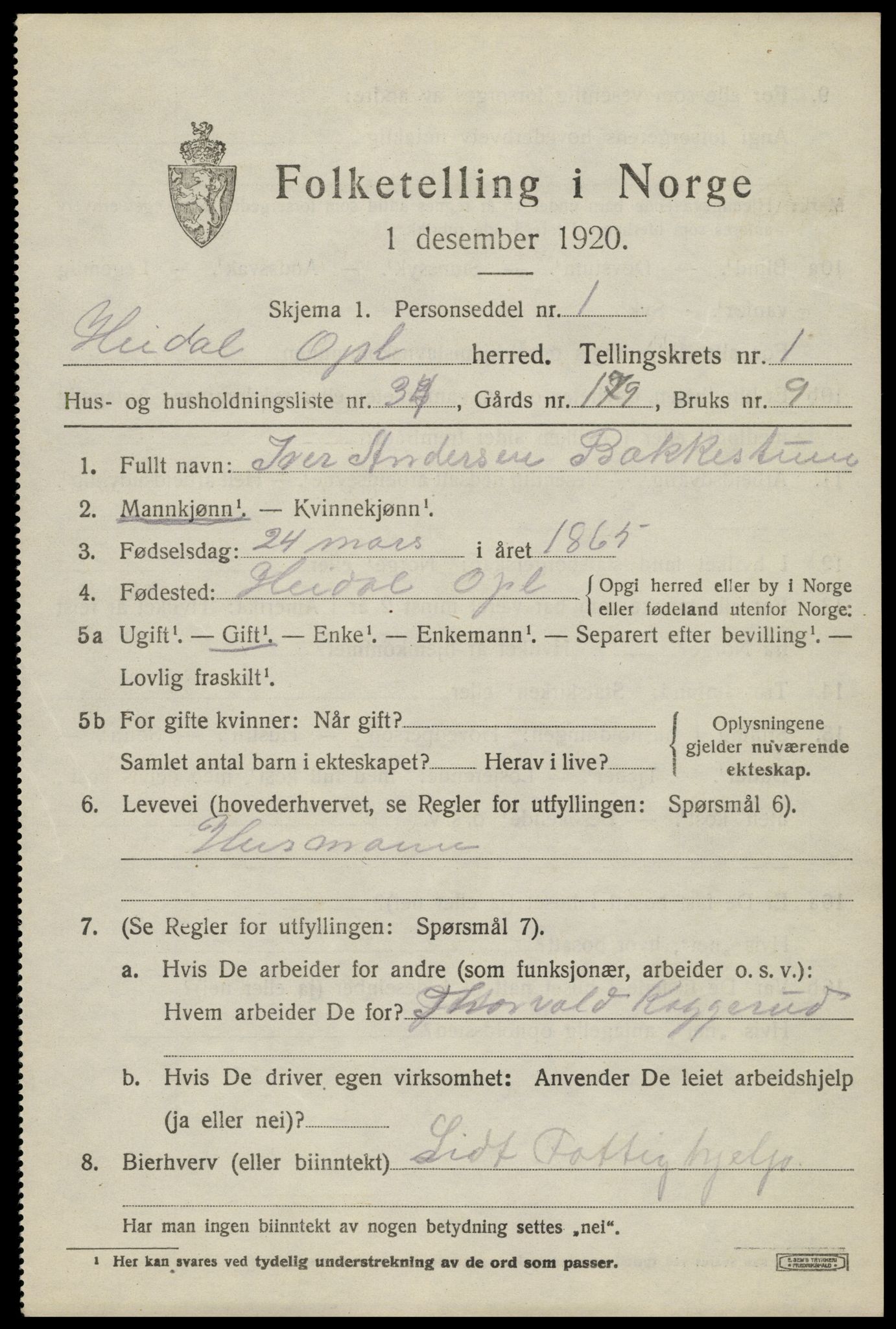 SAH, 1920 census for Heidal, 1920, p. 866