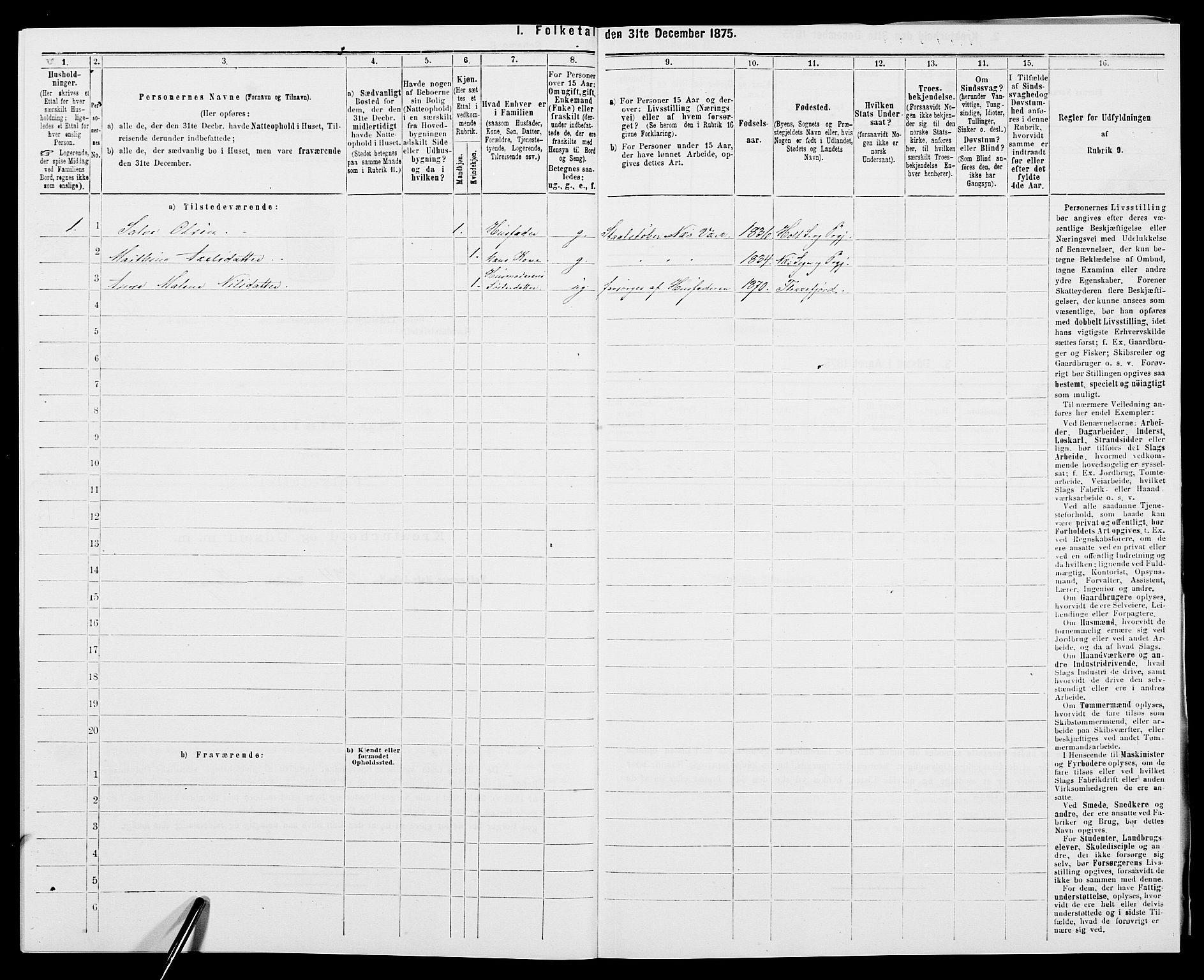 SAK, 1875 census for 0914L Holt/Holt, 1875, p. 308