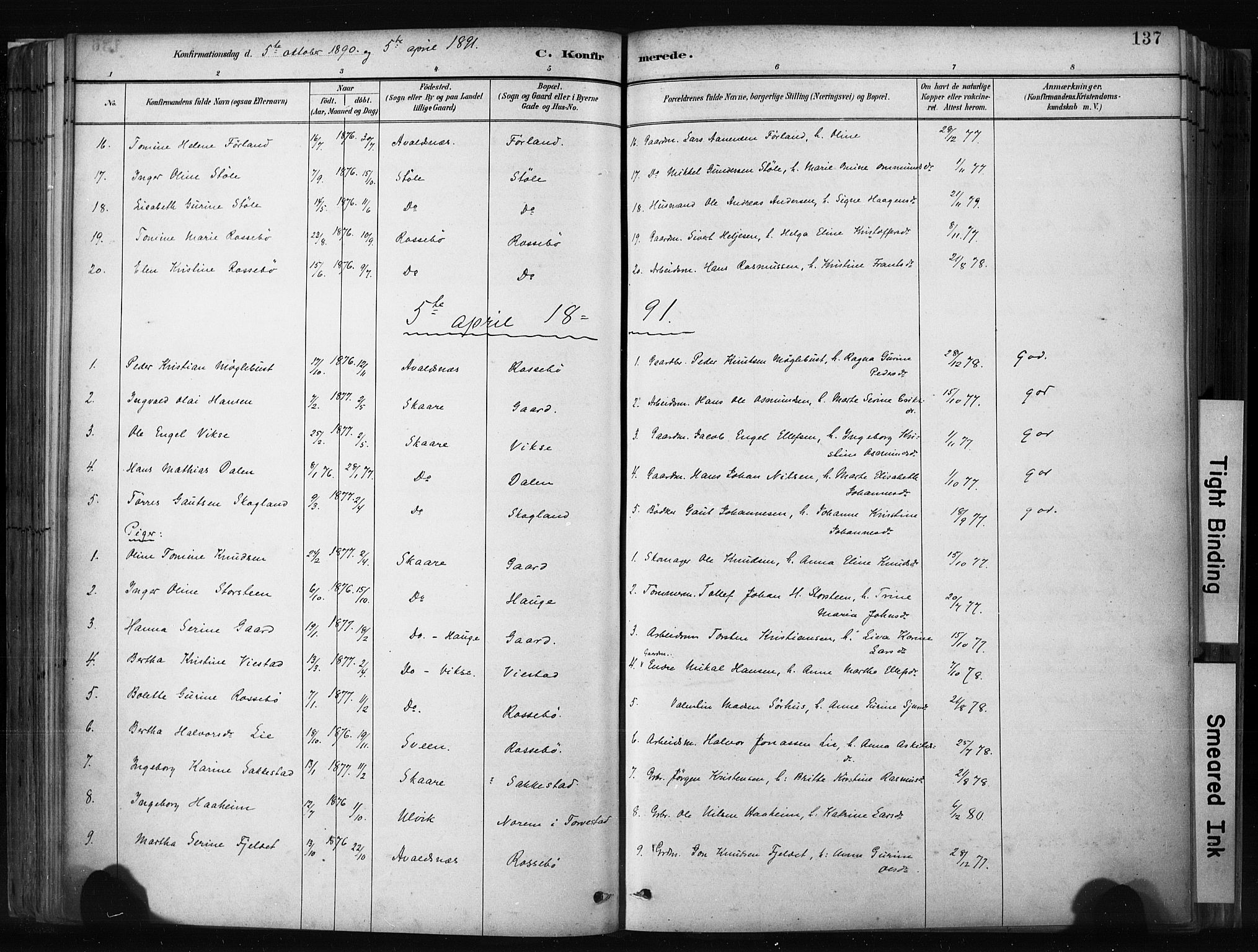 Haugesund sokneprestkontor, SAST/A -101863/H/Ha/Haa/L0004: Parish register (official) no. A 4, 1886-1908, p. 137