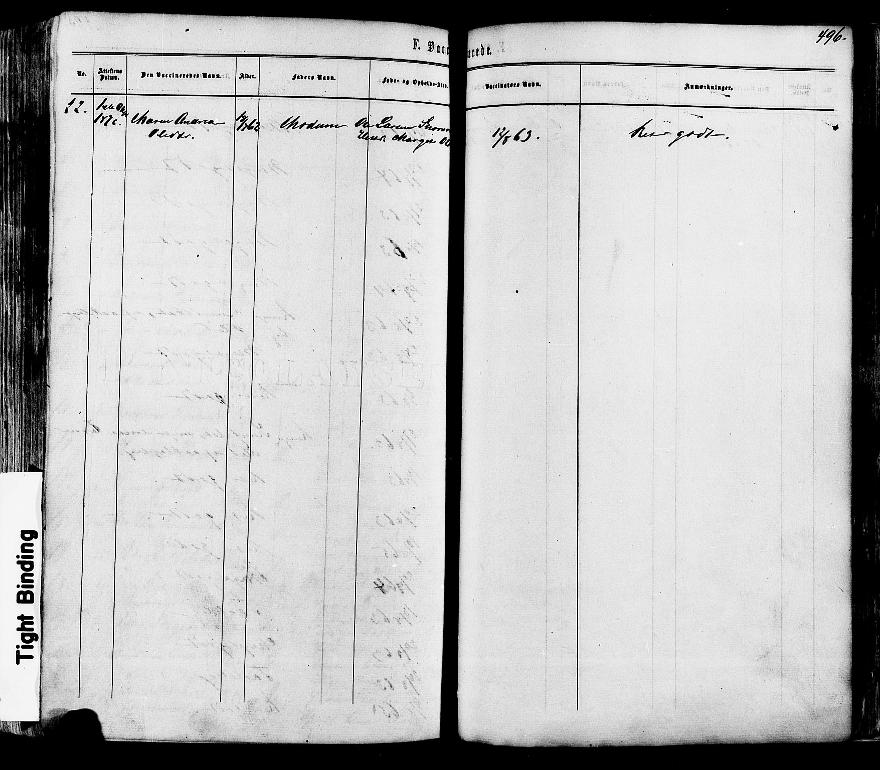 Modum kirkebøker, AV/SAKO-A-234/F/Fa/L0010: Parish register (official) no. 10, 1865-1876, p. 496