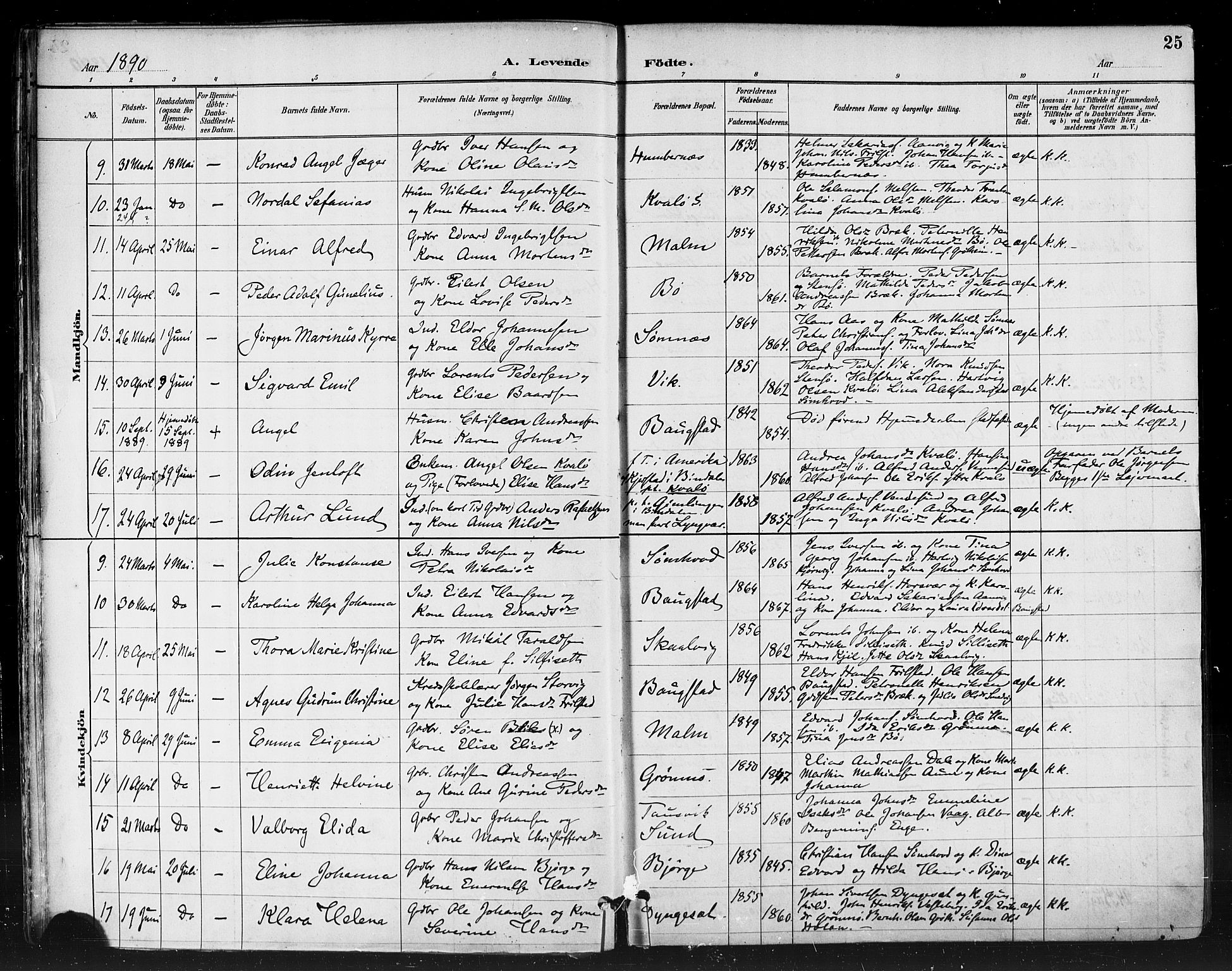 Ministerialprotokoller, klokkerbøker og fødselsregistre - Nordland, SAT/A-1459/812/L0178: Parish register (official) no. 812A07, 1886-1900, p. 25